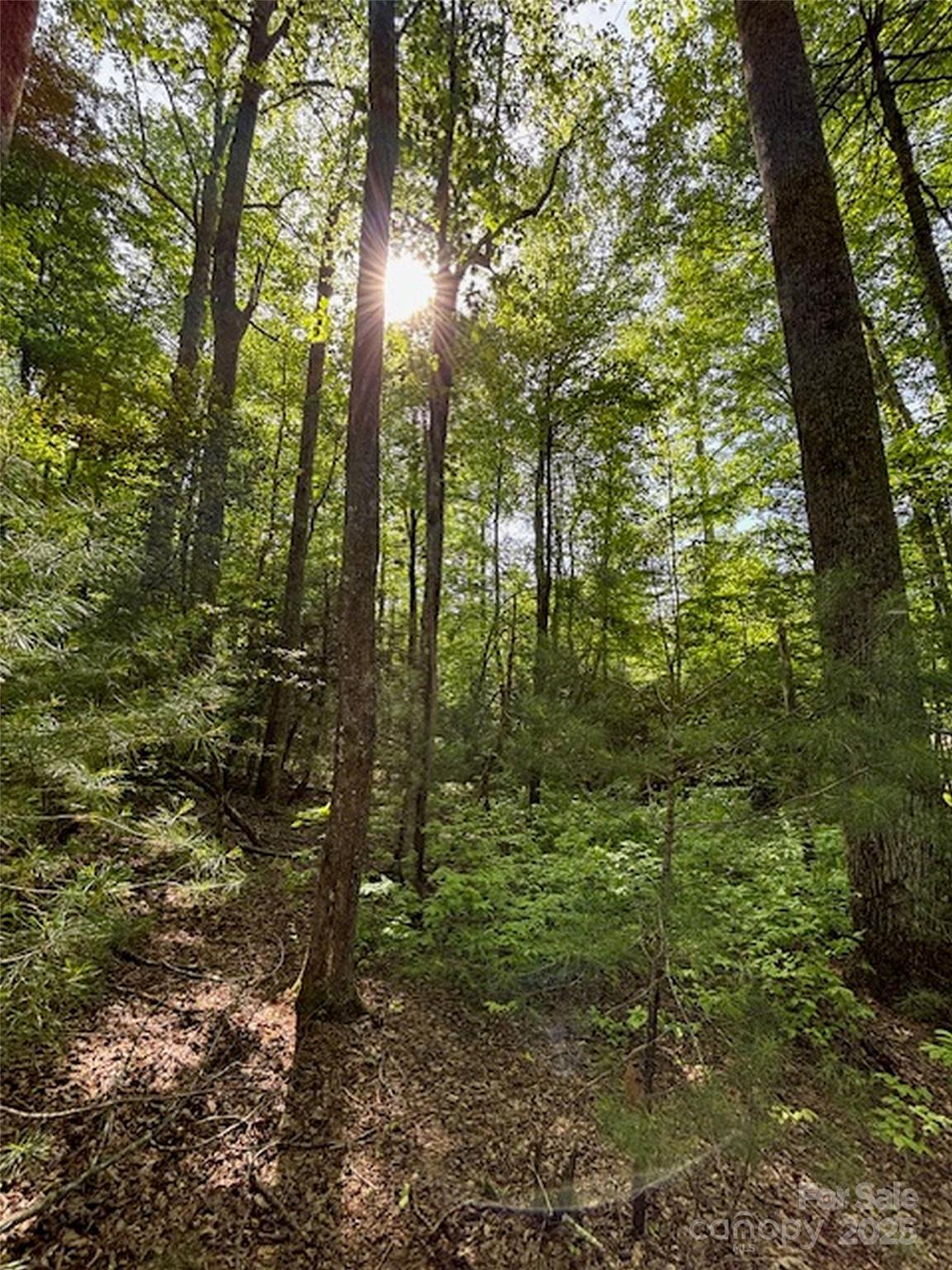 Property at 99999 Small Creek Road, Brevard, NC 28712