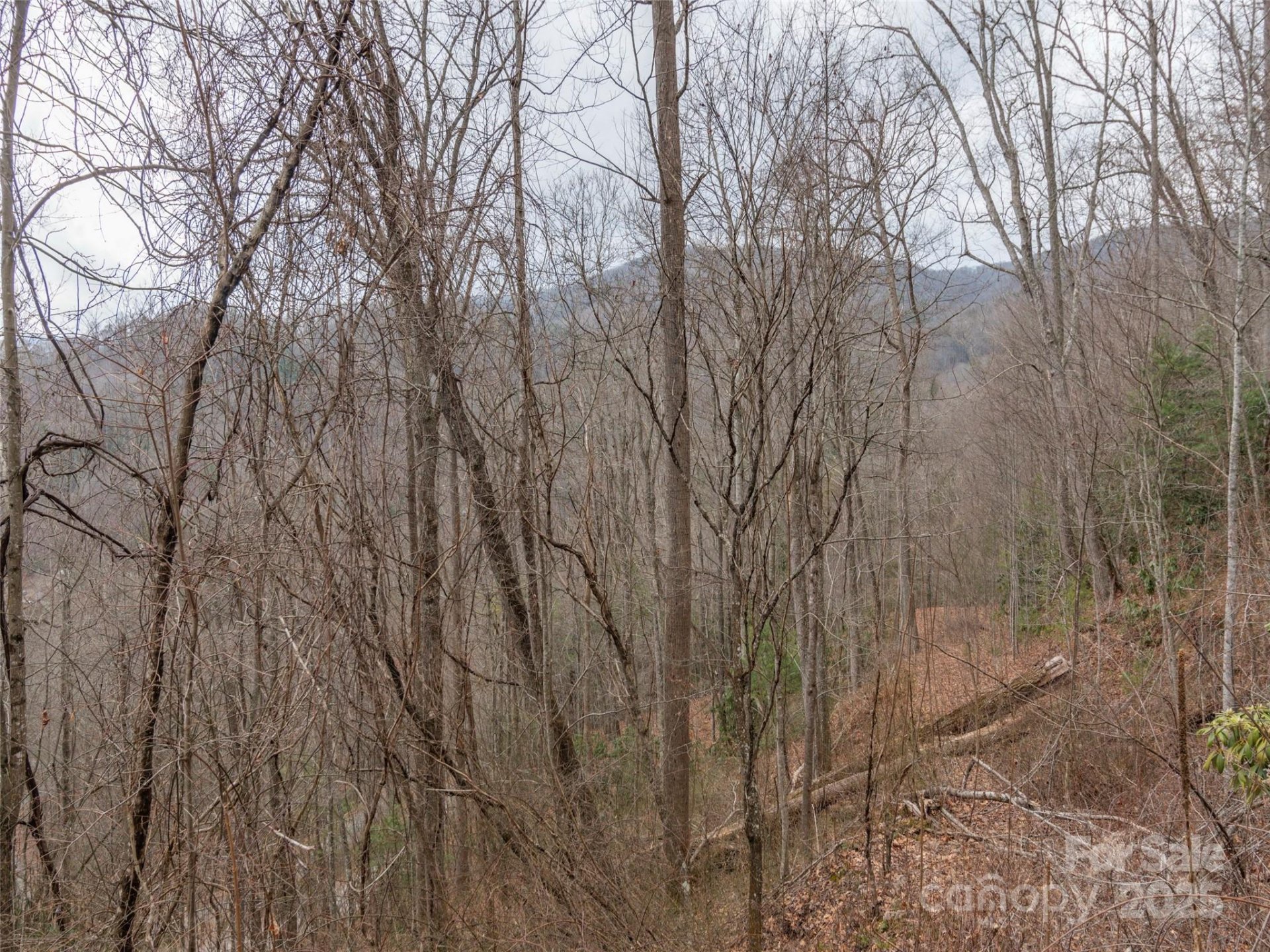 Property image 3 at 00 Cherry Berry Drive, Waynesville, NC 28785