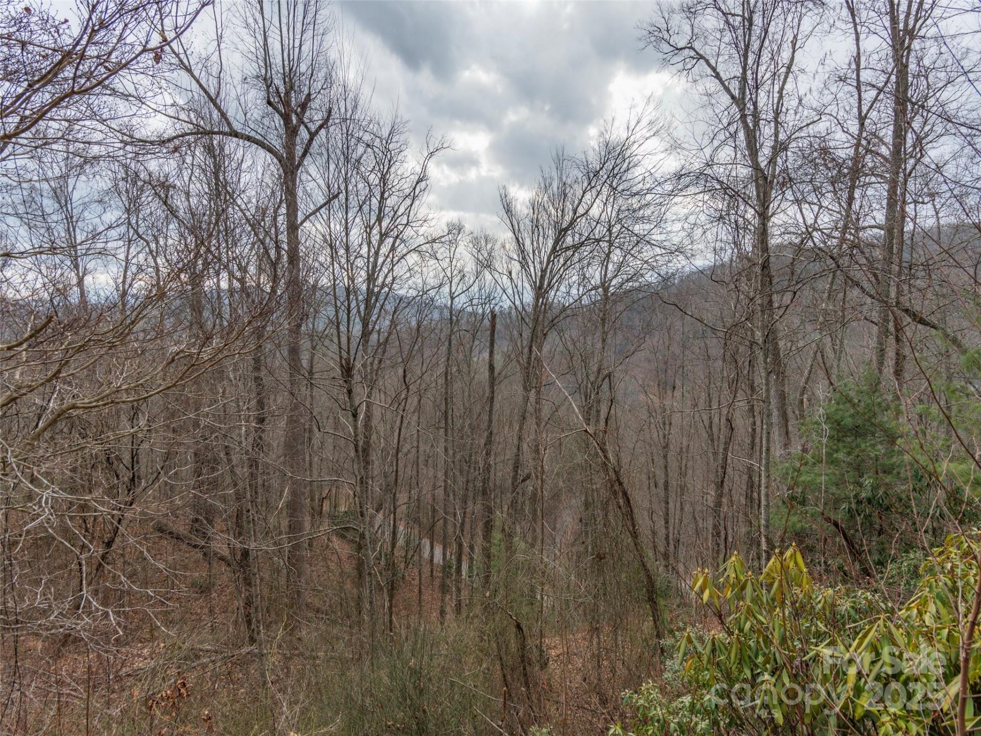 Property image 4 at 00 Cherry Berry Drive, Waynesville, NC 28785