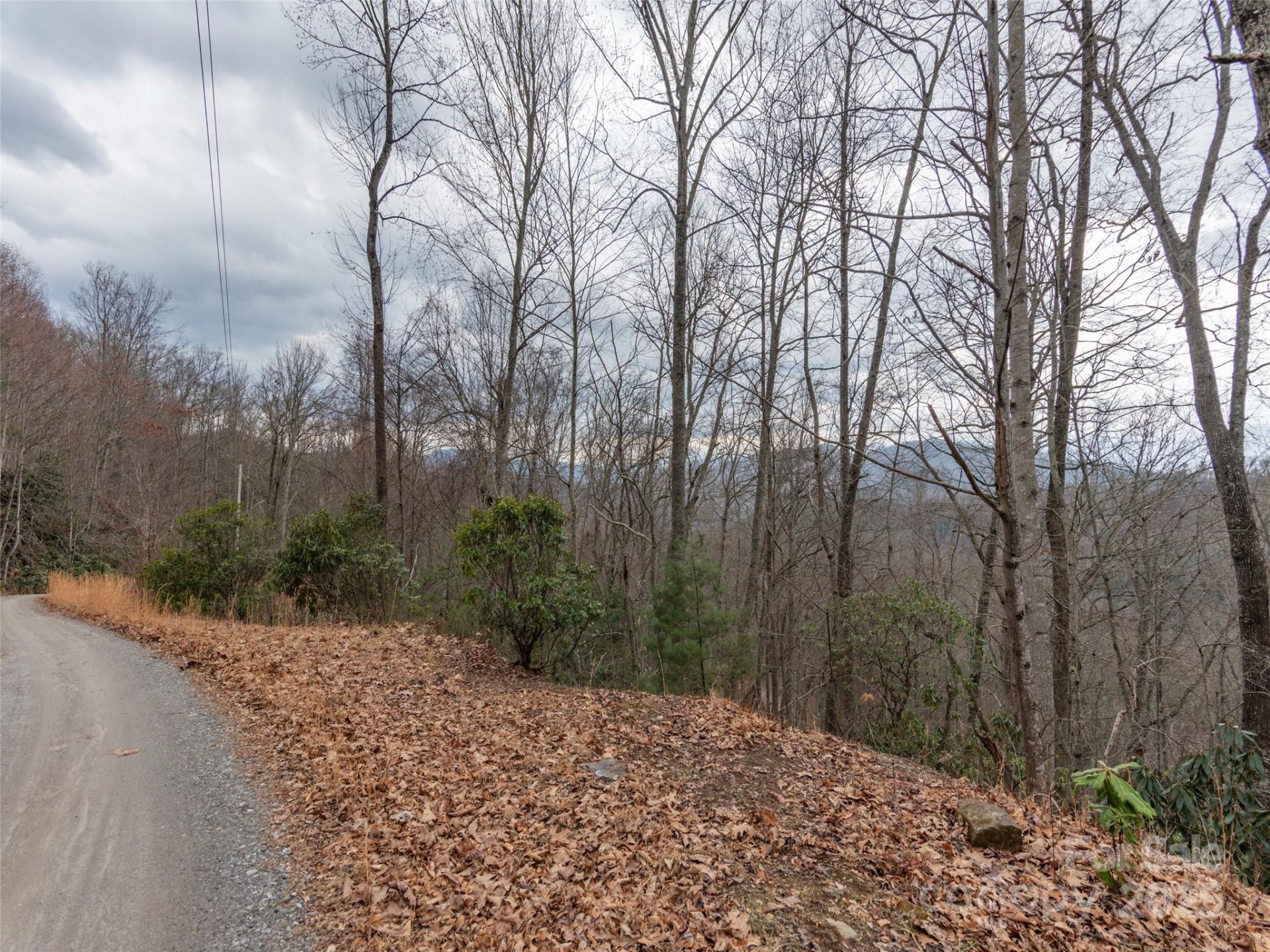 Property image 5 at 00 Cherry Berry Drive, Waynesville, NC 28785