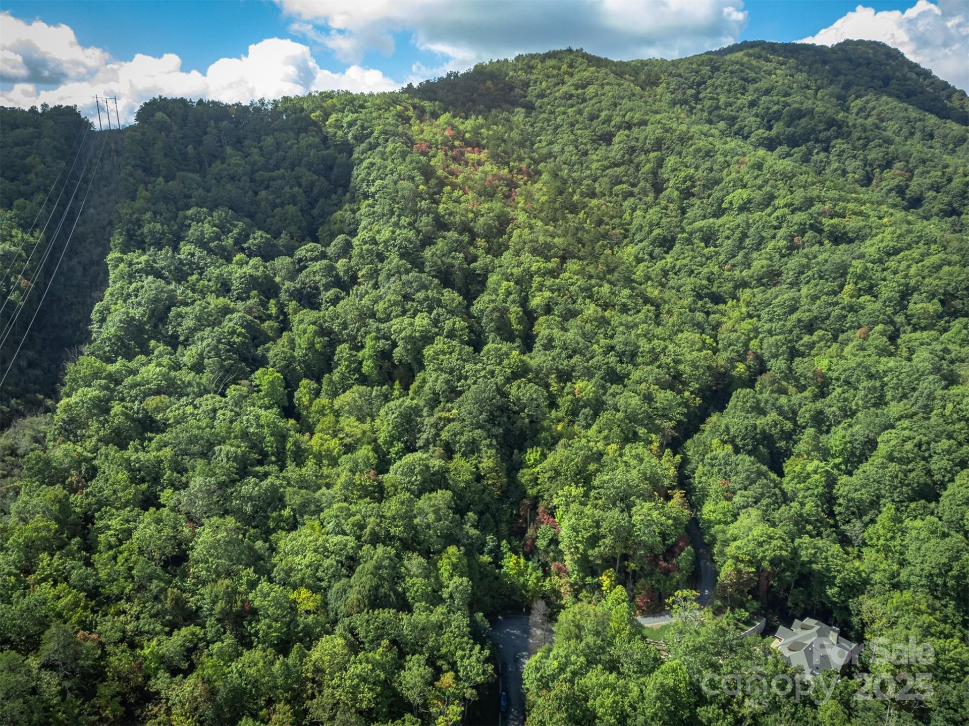 Property image 3 at 66 Sisters View Drive, Black Mountain, NC 28711