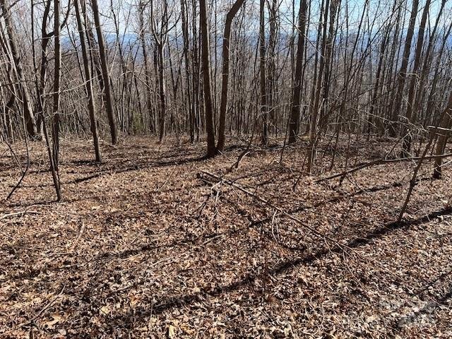 Property image 1 at 937 South View Road, Old Fort, NC 28762