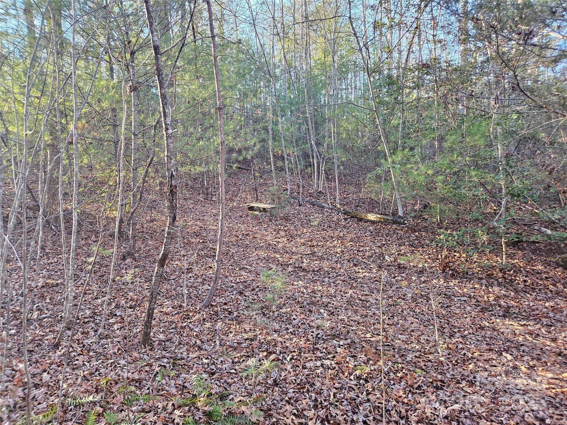 Property image 2 at 3163 Lake Drive, Morganton, NC 28655