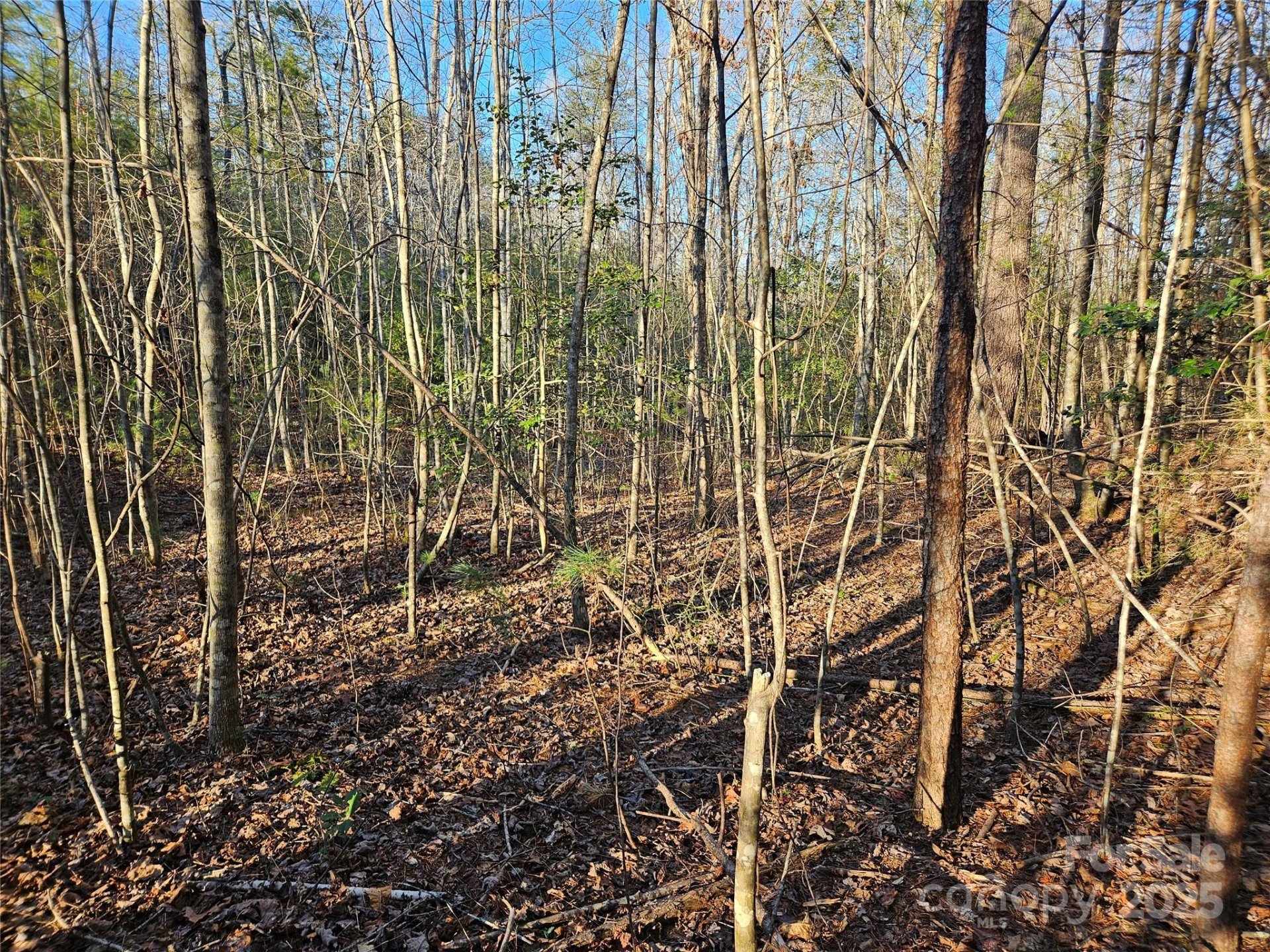 Property image 4 at 3163 Lake Drive, Morganton, NC 28655