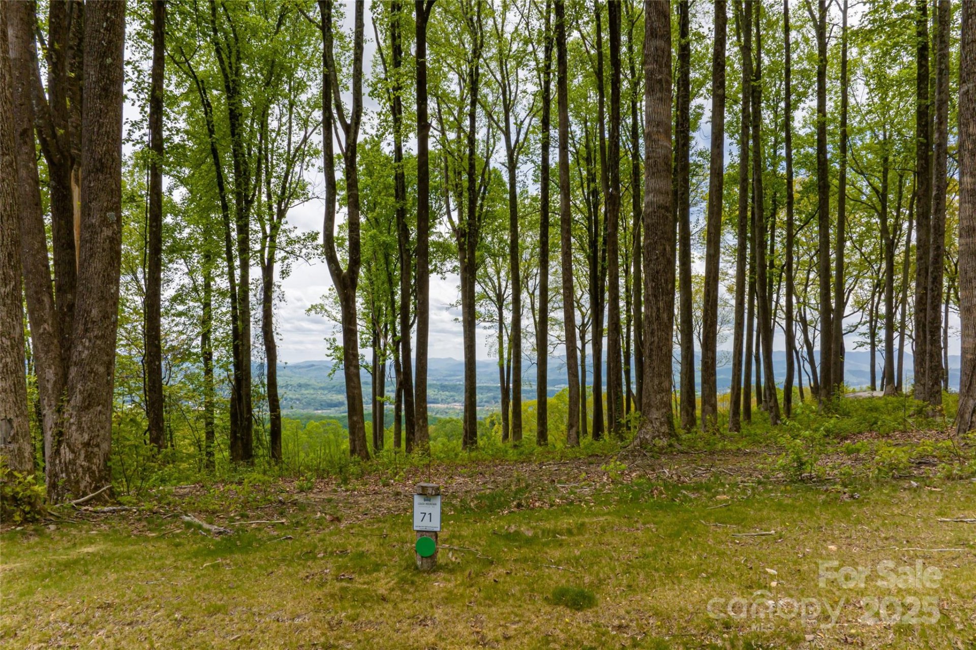 Property image 2 at 000 Mountain Grove Lane, Fletcher, NC 28732