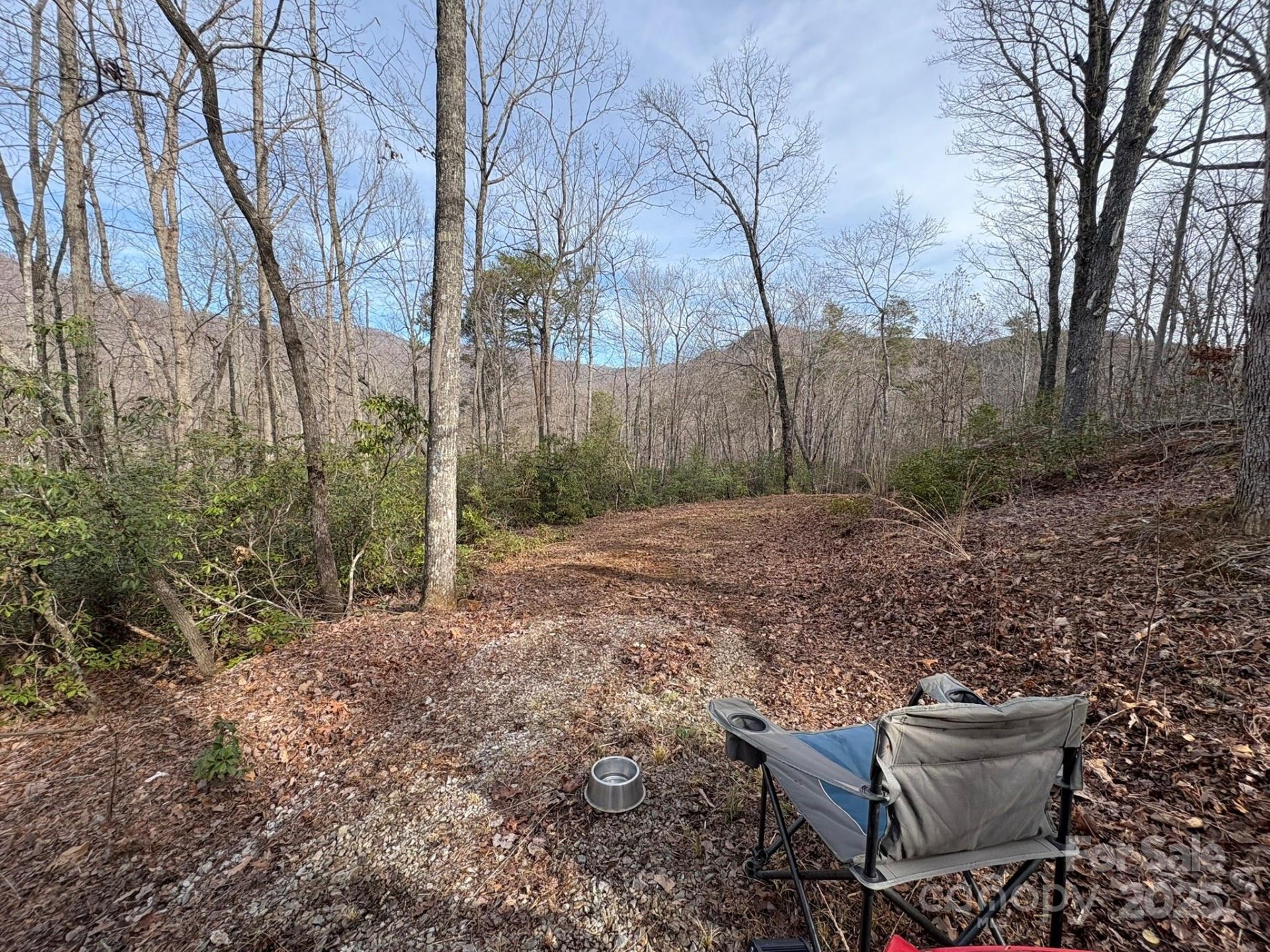 Property image 2 at 00 Ridgecrest Drive, Lake Lure, NC 28746