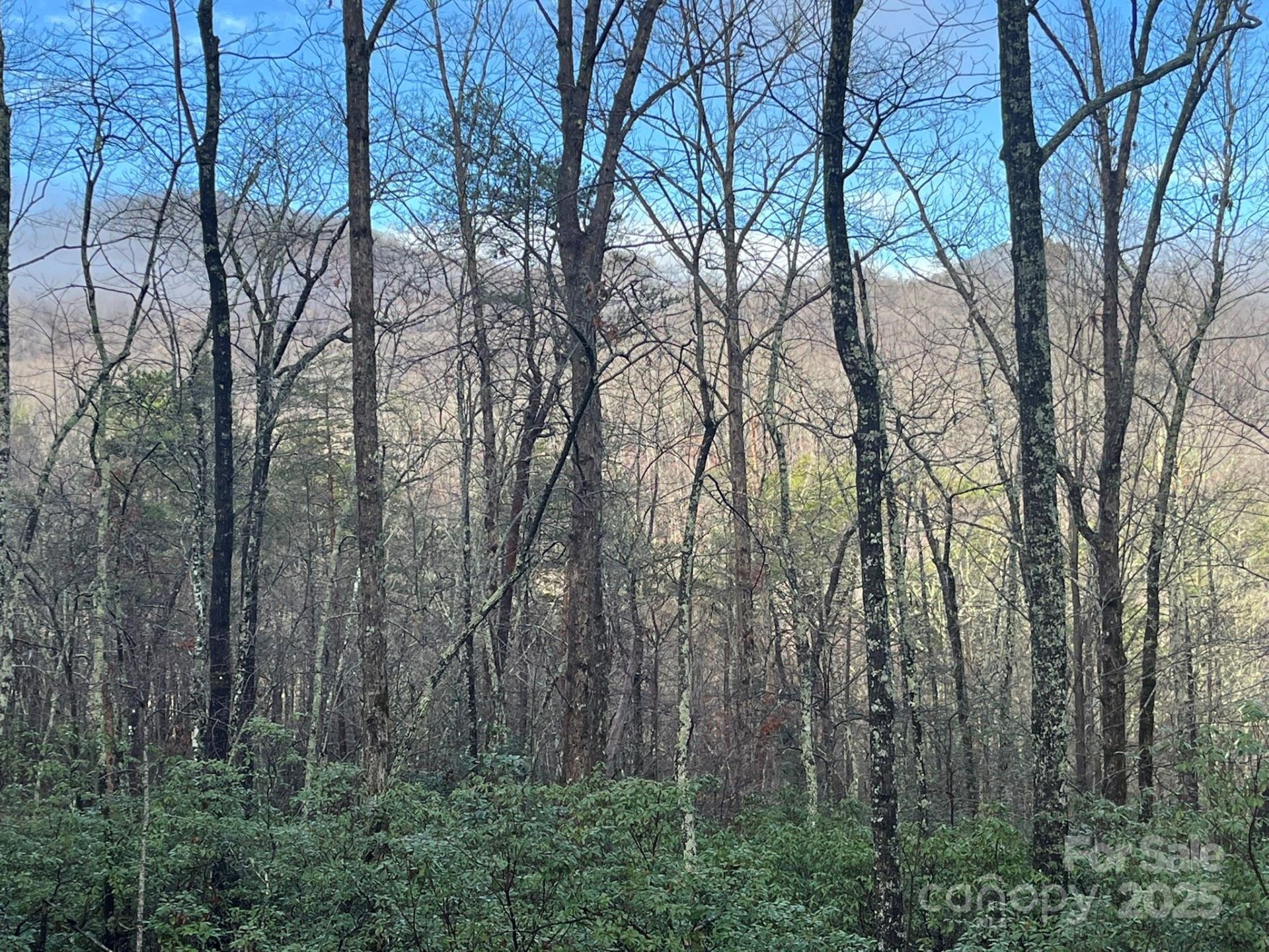 Property image 4 at 00 Ridgecrest Drive, Lake Lure, NC 28746