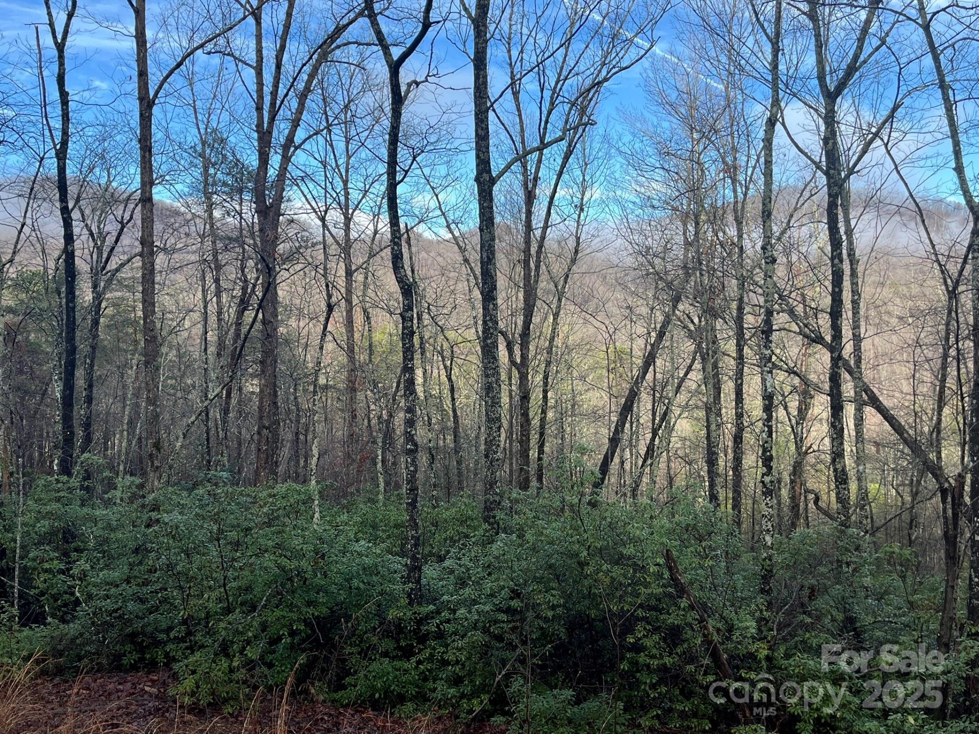 Property image 5 at 00 Ridgecrest Drive, Lake Lure, NC 28746