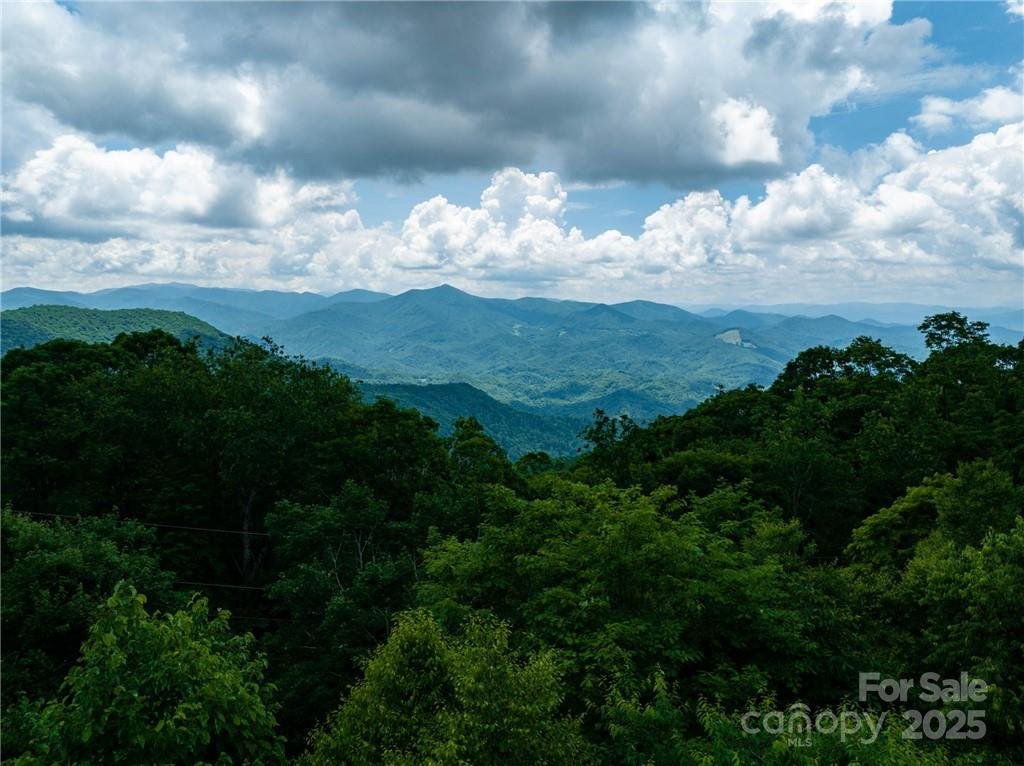 Property image 4 at 167 Bold Springs Road, Sylva, NC 28779