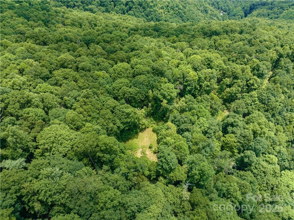 Property image 2 at 3168 Parris Branch Road, Sylva, NC 28779