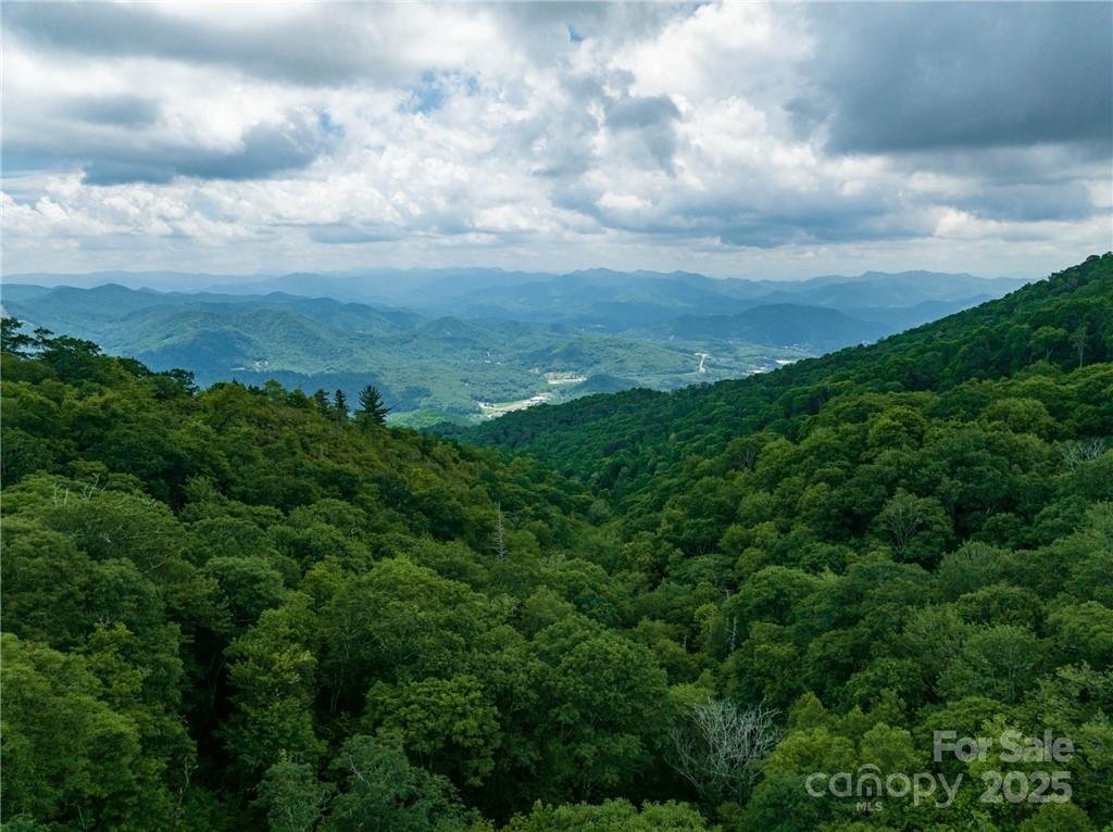 Property image 4 at 99999 Parris Branch Road, Sylva, NC 28799