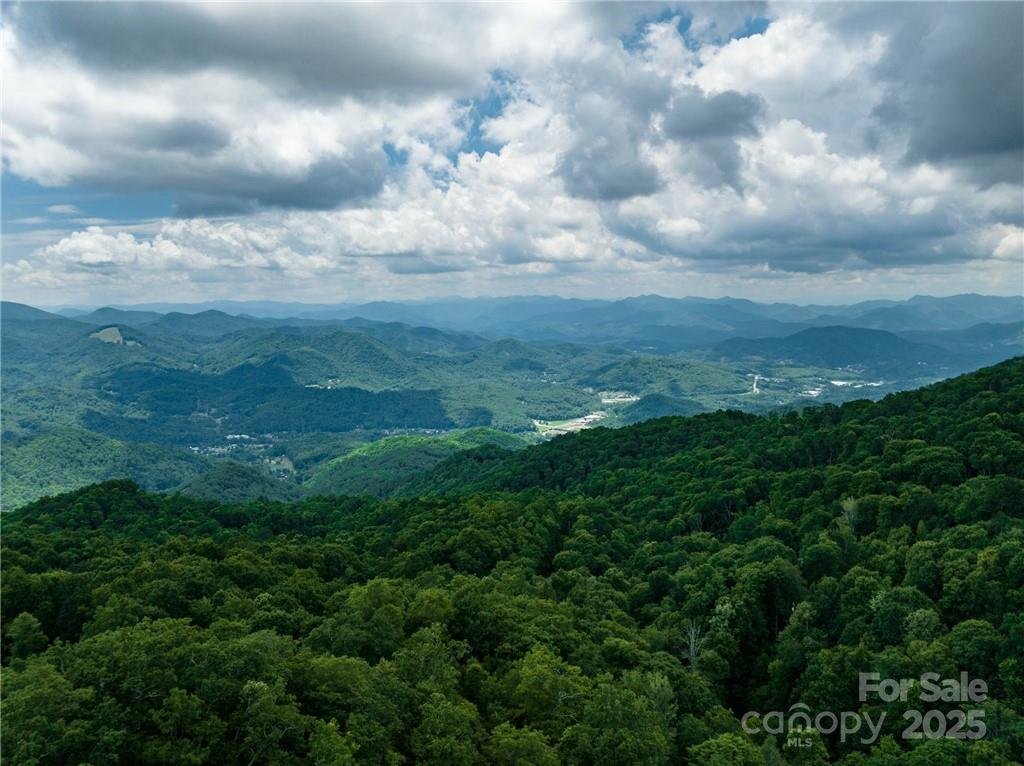 Property image 5 at 99999 Parris Branch Road, Sylva, NC 28799