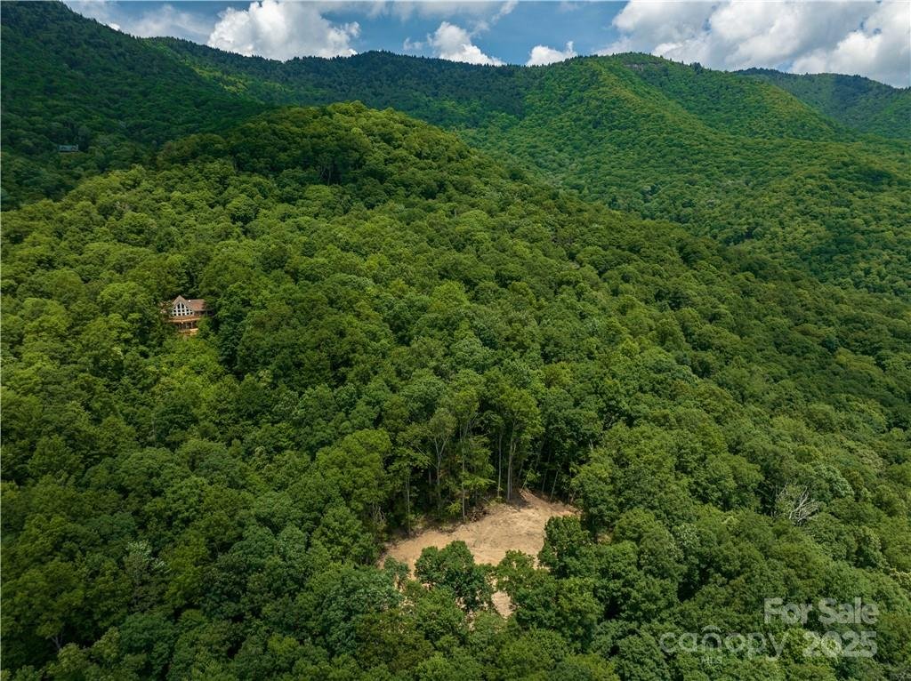 Property image 5 at 99999 Parris Branch Road, Sylva, NC 28779