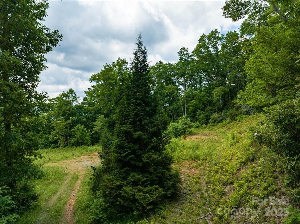 Property image 4 at 3867 Parris Branch Road, Sylva, NC 28779