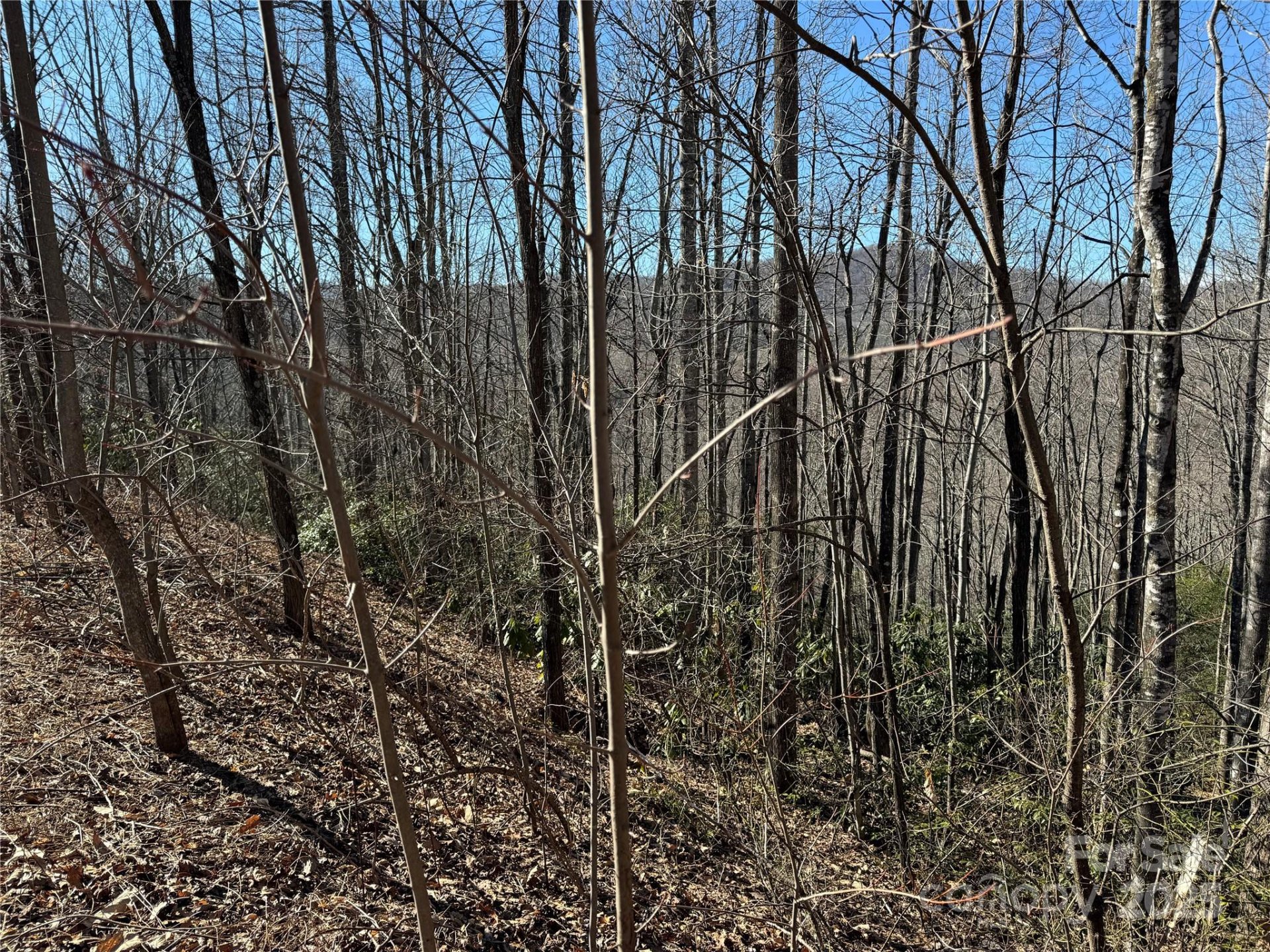 Property image 3 at 239 Fuji Falls Trail, Black Mountain, NC 28711