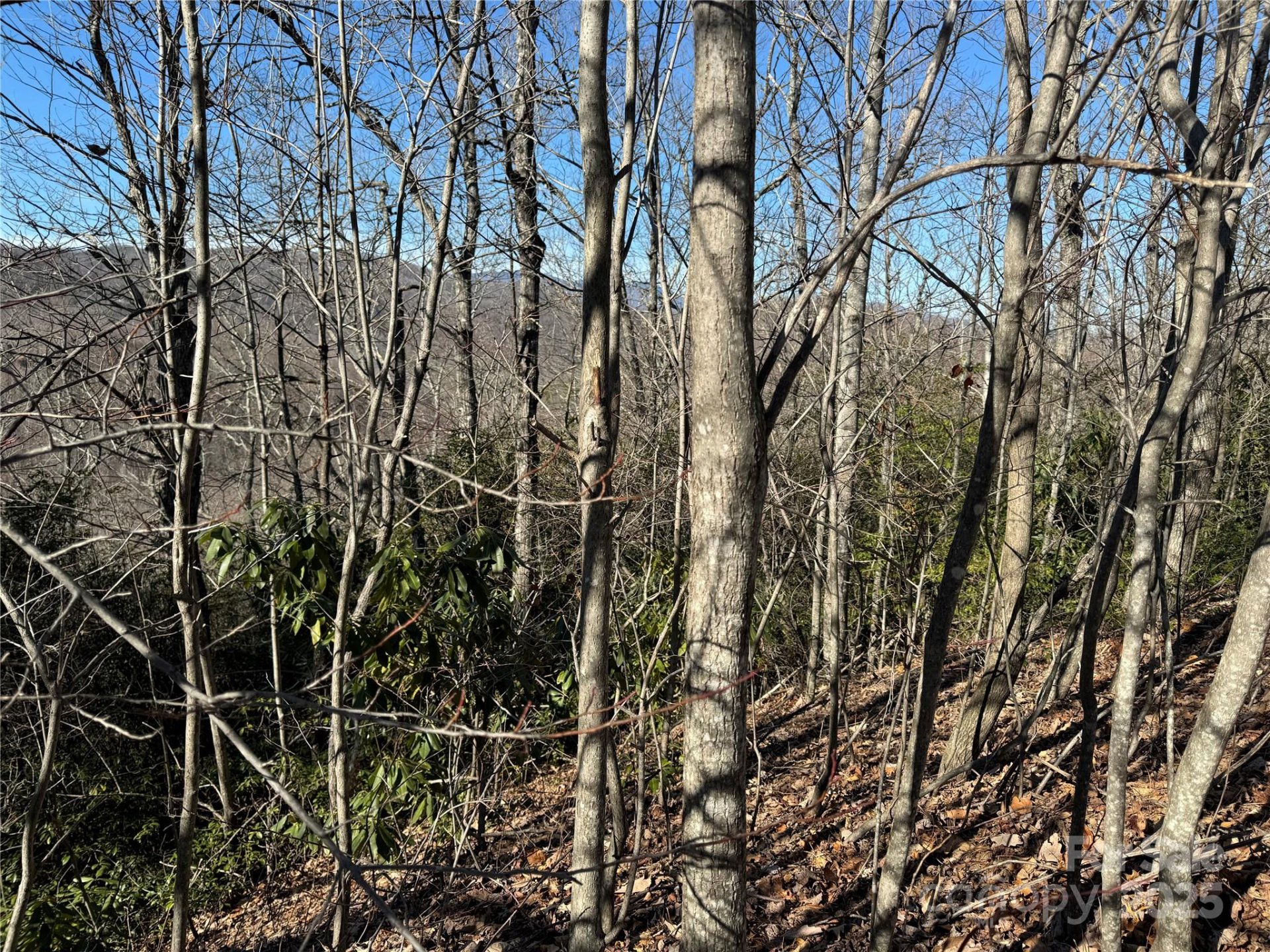 Property image 4 at 239 Fuji Falls Trail, Black Mountain, NC 28711