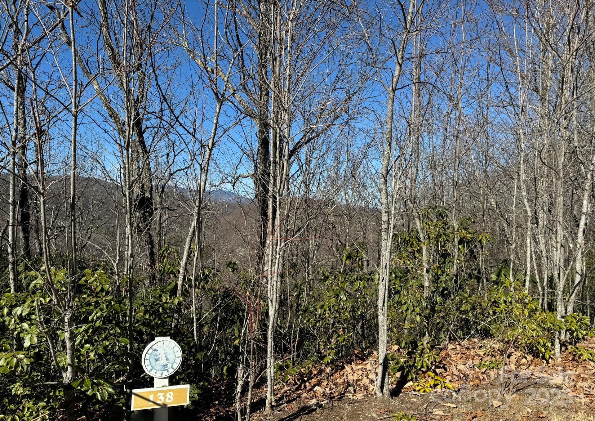 Property image 5 at 239 Fuji Falls Trail, Black Mountain, NC 28711
