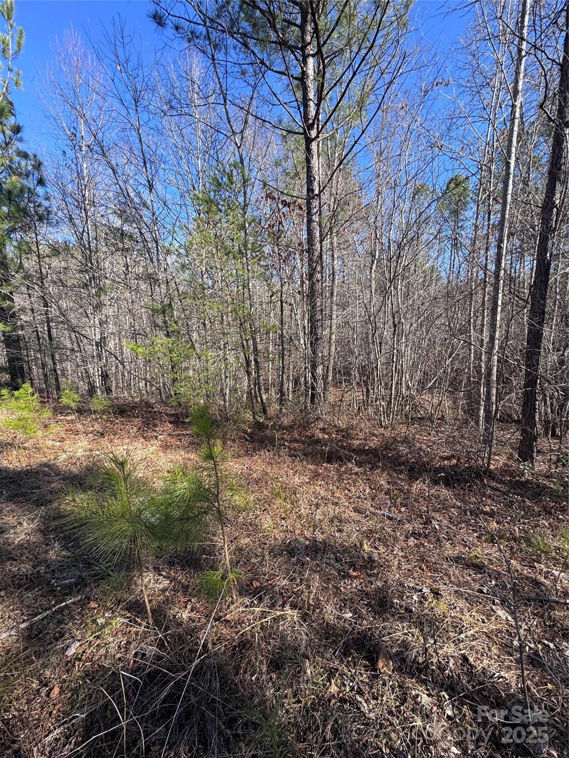 Property image 2 at 0 Black Rock Drive, Rutherfordton, NC 28139