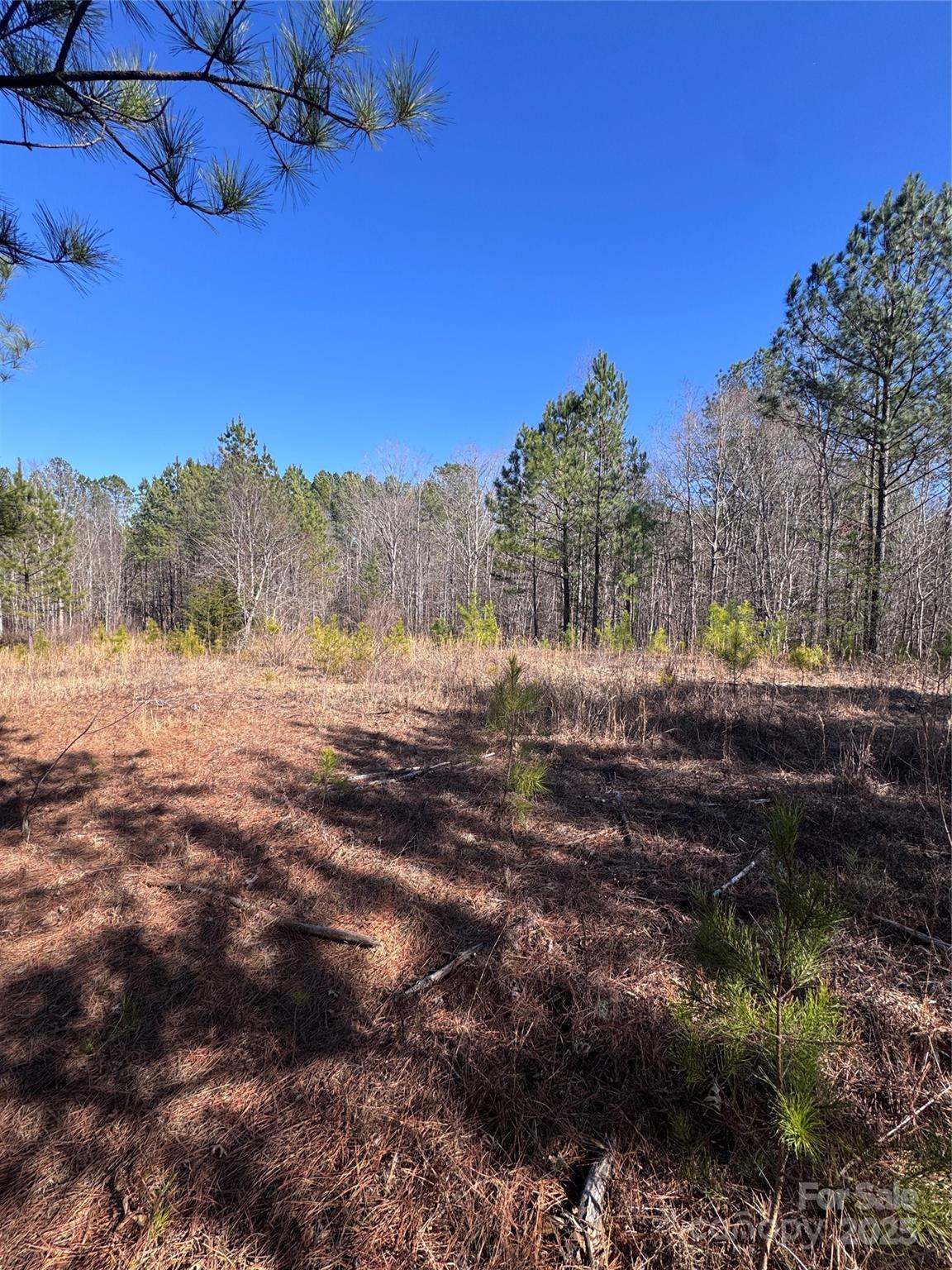 Property image 3 at 0 Black Rock Drive, Rutherfordton, NC 28139