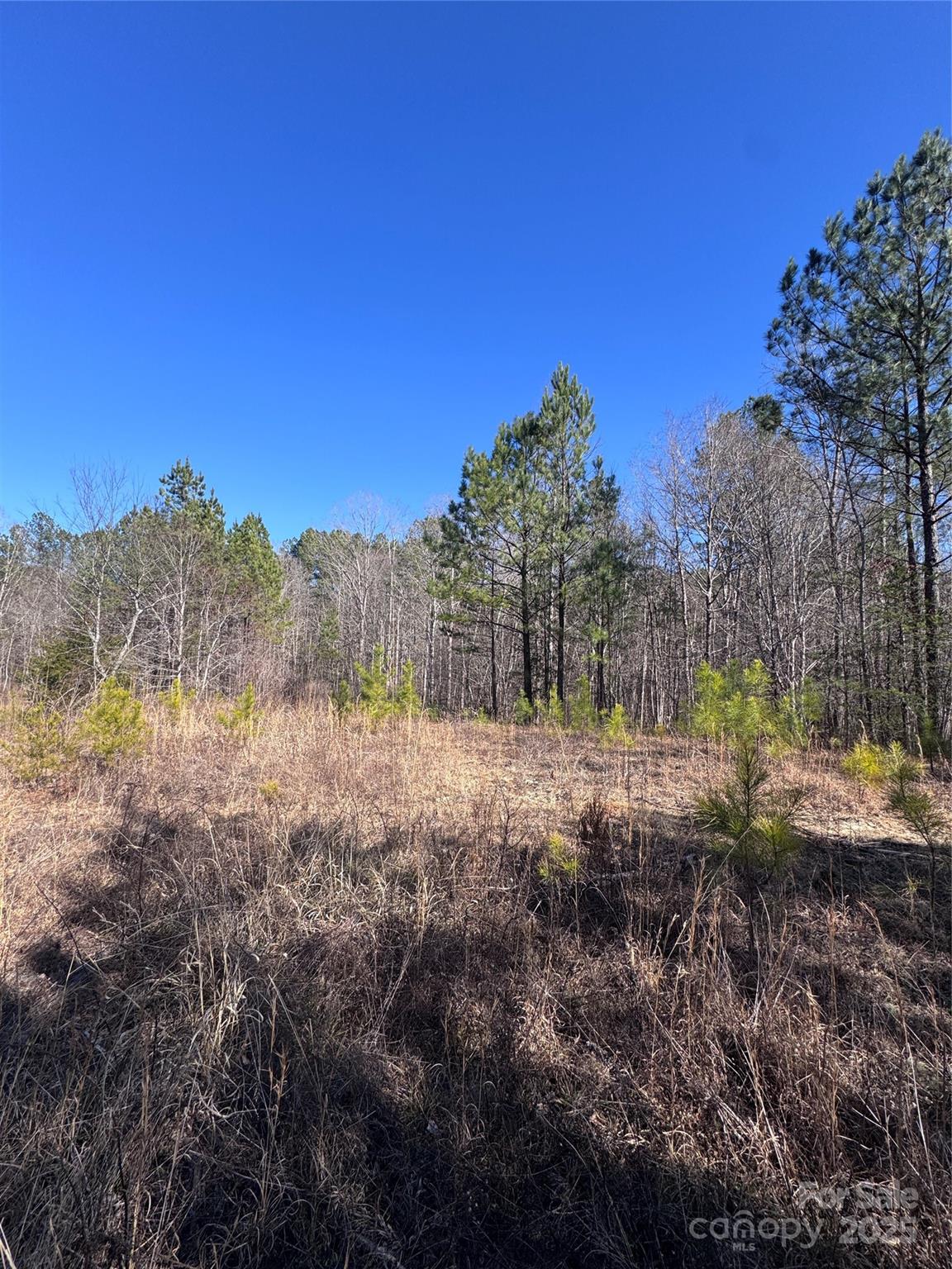 Property image 4 at 0 Black Rock Drive, Rutherfordton, NC 28139