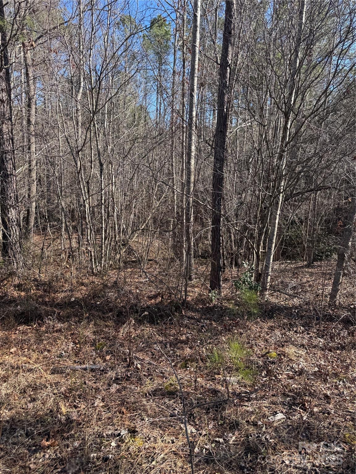 Property image 5 at 0 Black Rock Drive, Rutherfordton, NC 28139