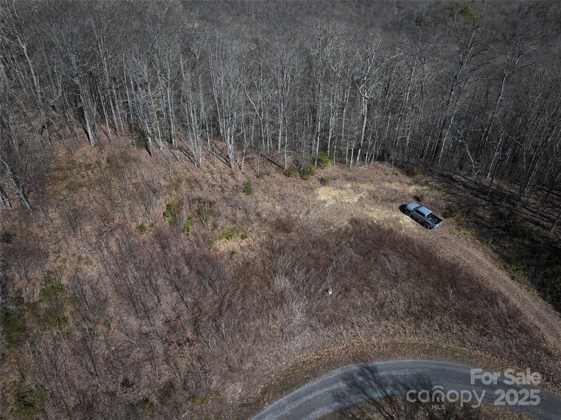 Property image 4 at 0 Alarka Highlands Drive, Bryson City, NC 28713