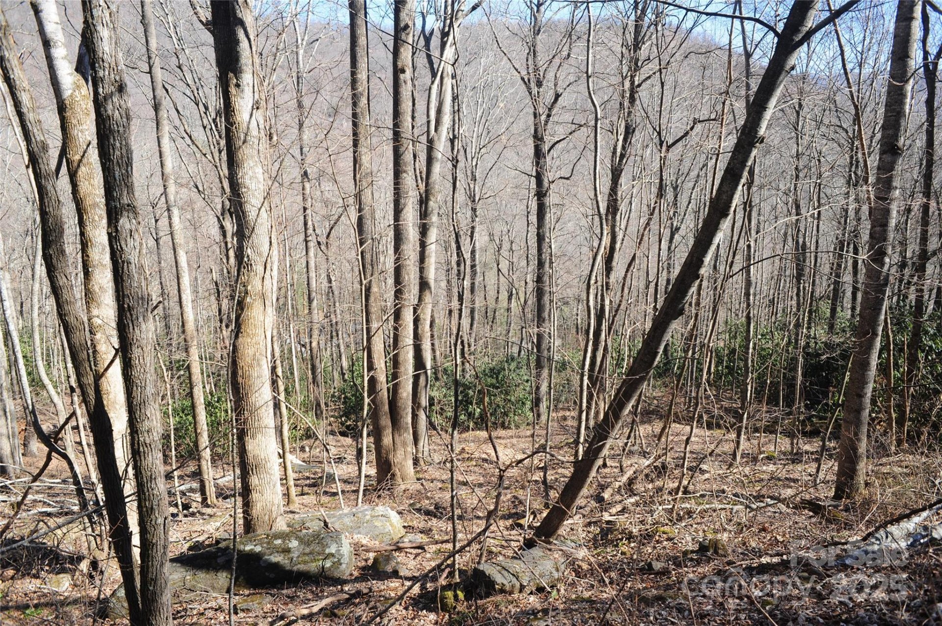 15 Wood Haven Lane