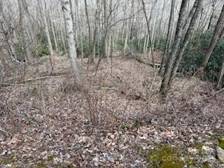 Property image 3 at 15 Wood Haven Lane, Black Mountain, NC 28711