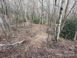 Property image 4 at 15 Wood Haven Lane, Black Mountain, NC 28711