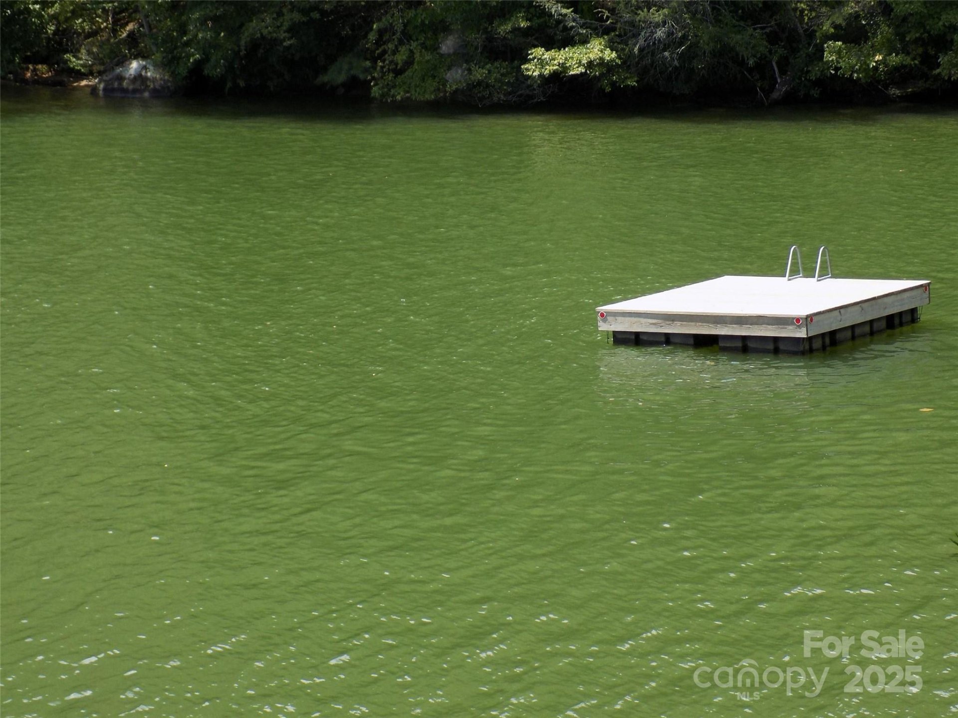Property image 3 at 0 Pine Tree Court, Lake Lure, NC 28746