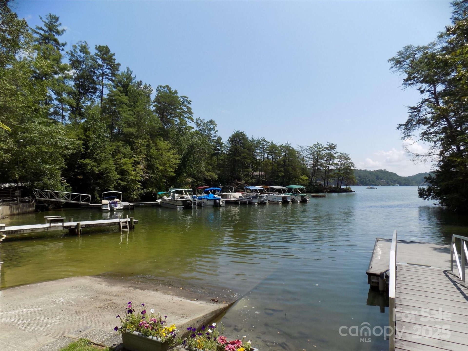 Property image 4 at 0 Pine Tree Court, Lake Lure, NC 28746