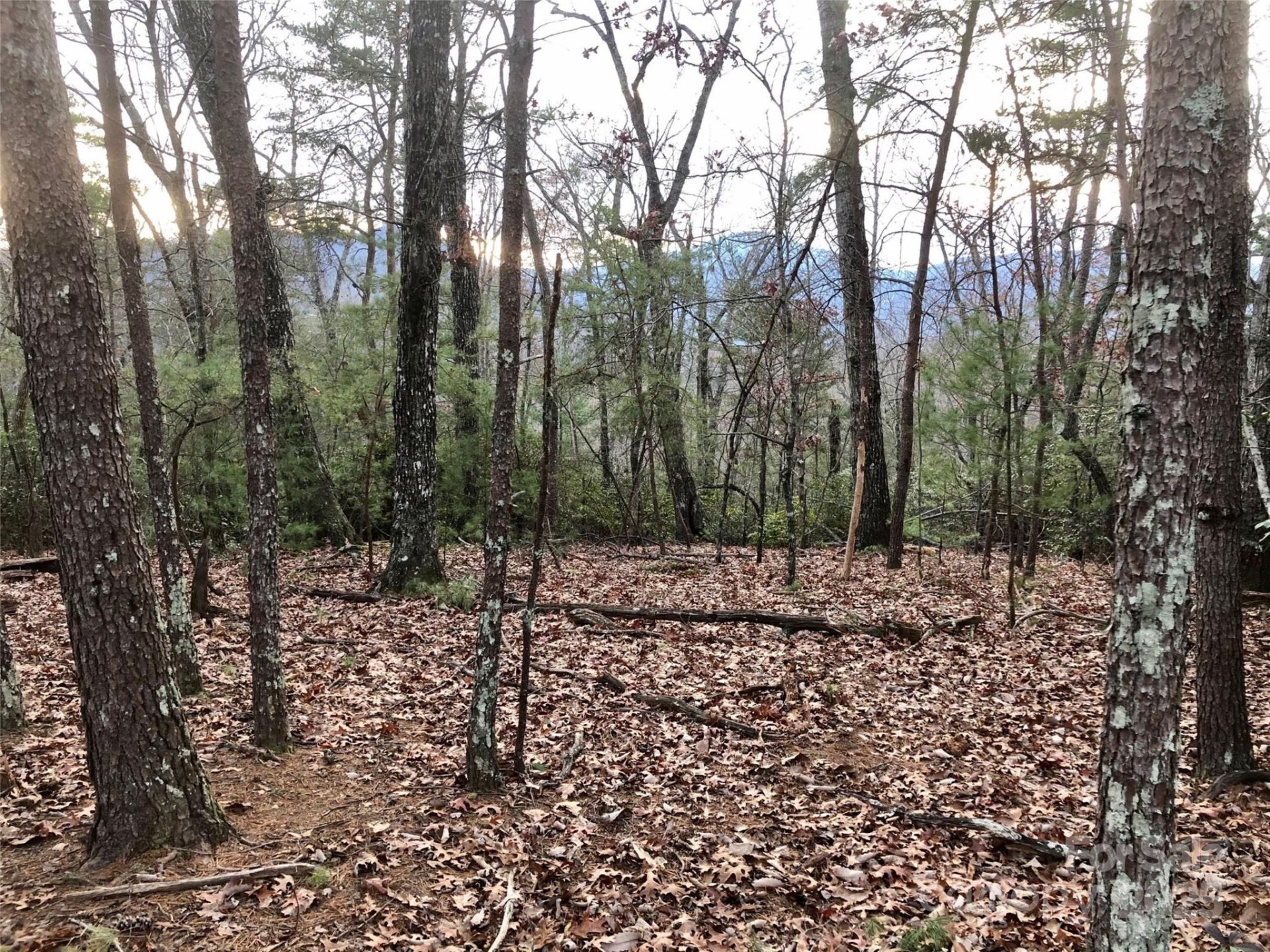 Property image 5 at 0 Pine Tree Court, Lake Lure, NC 28746
