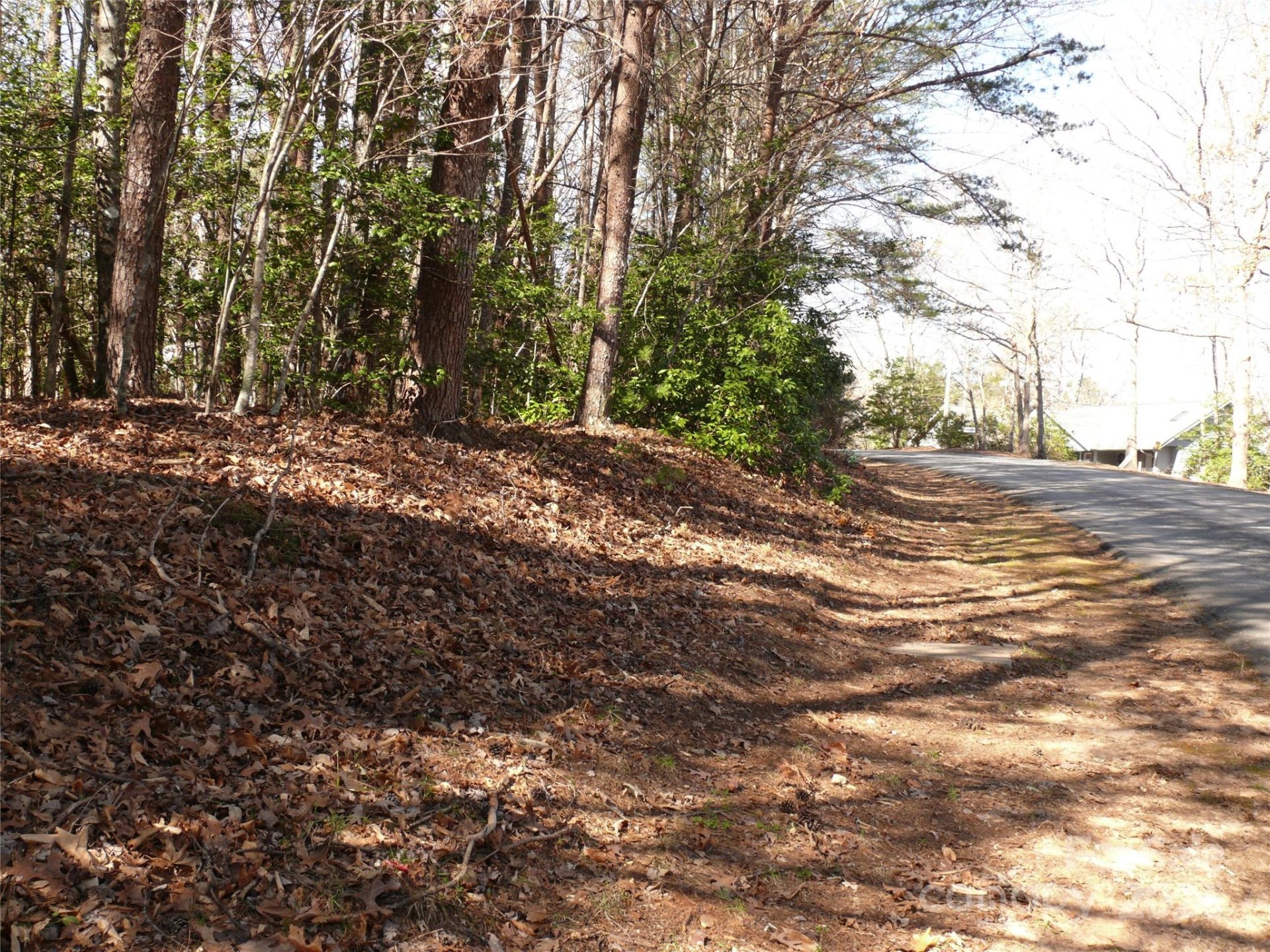 Property image 2 at Lot 15 Shumont Estates Drive, Lake Lure, NC 28746