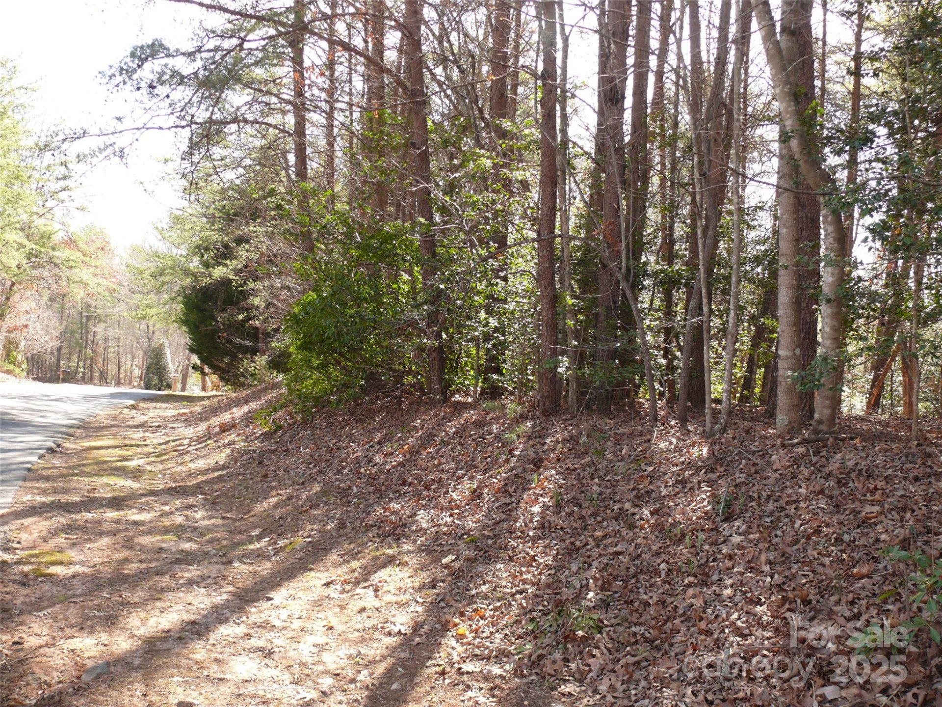 Property image 3 at Lot 15 Shumont Estates Drive, Lake Lure, NC 28746