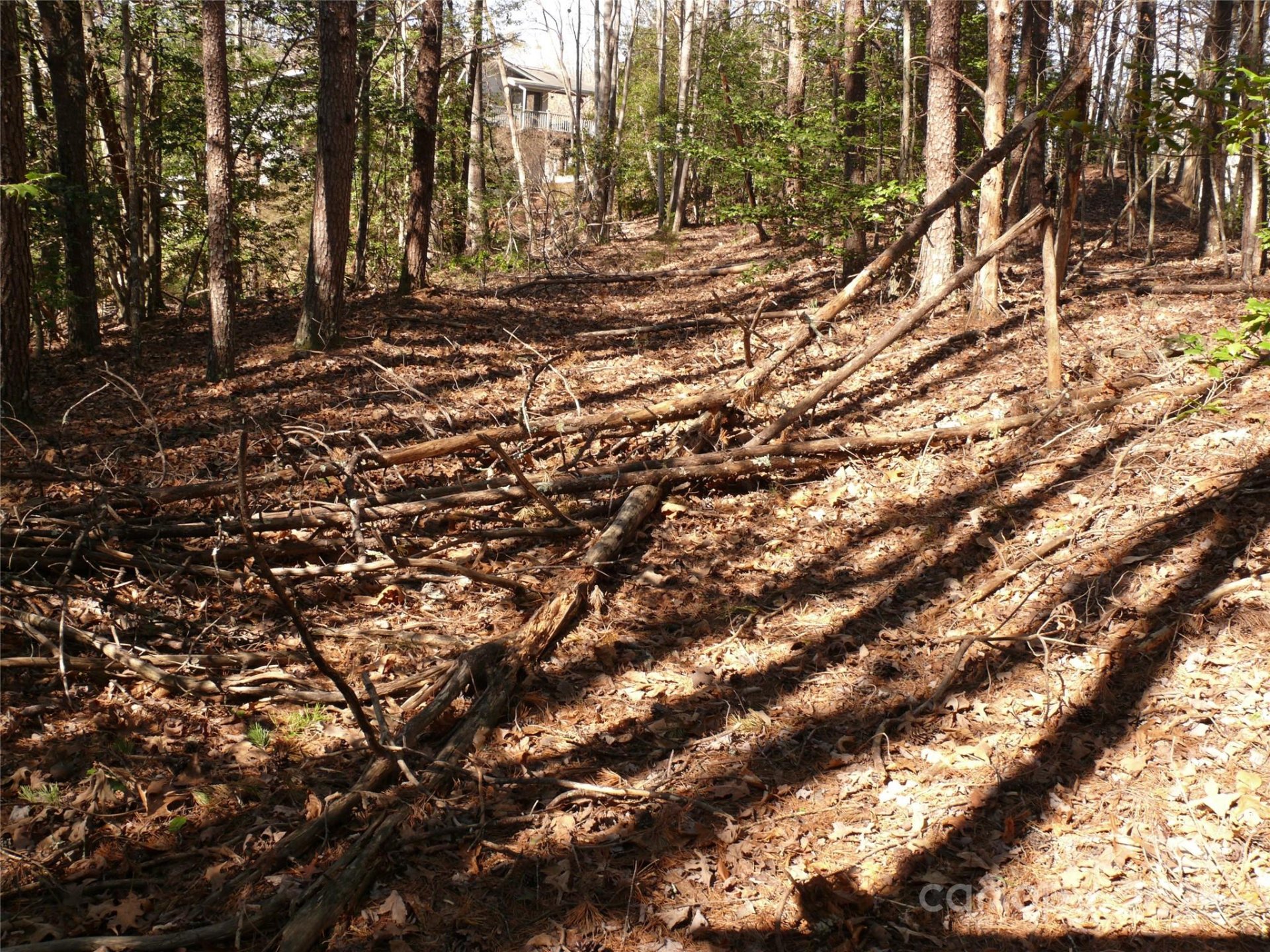 Property image 4 at Lot 15 Shumont Estates Drive, Lake Lure, NC 28746