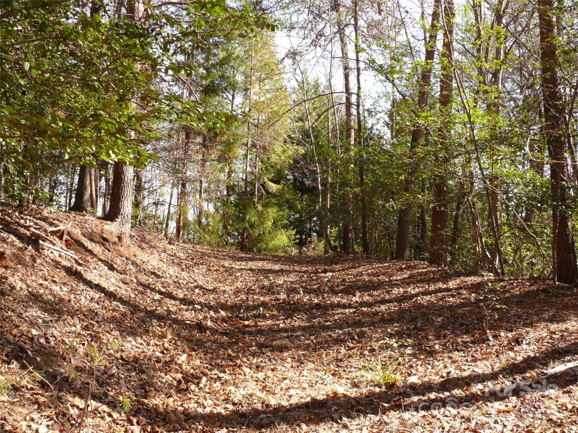 Property image 5 at Lot 15 Shumont Estates Drive, Lake Lure, NC 28746