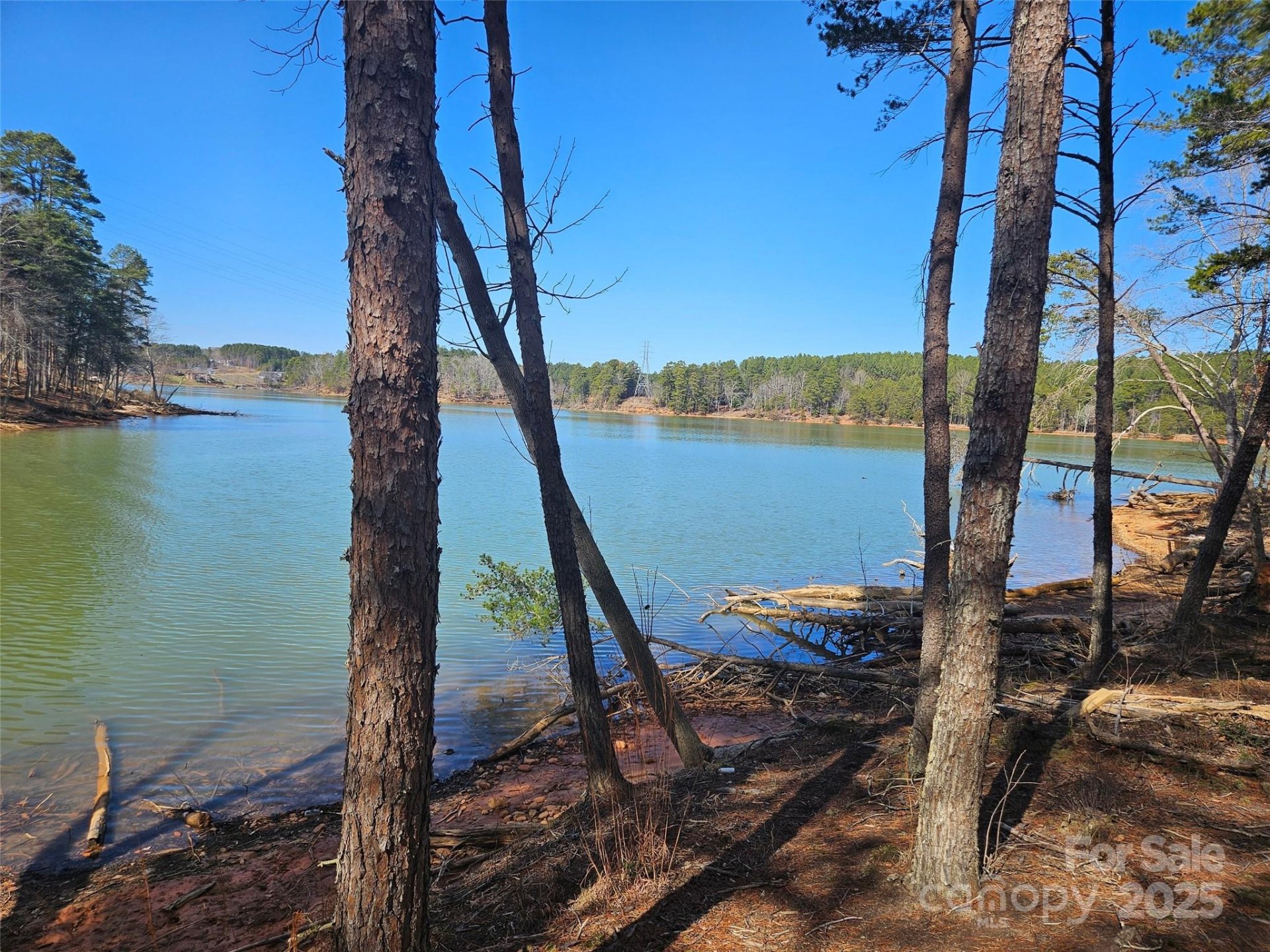 Property image 4 at 3049 Jumping Run, Connelly Springs, NC 28612