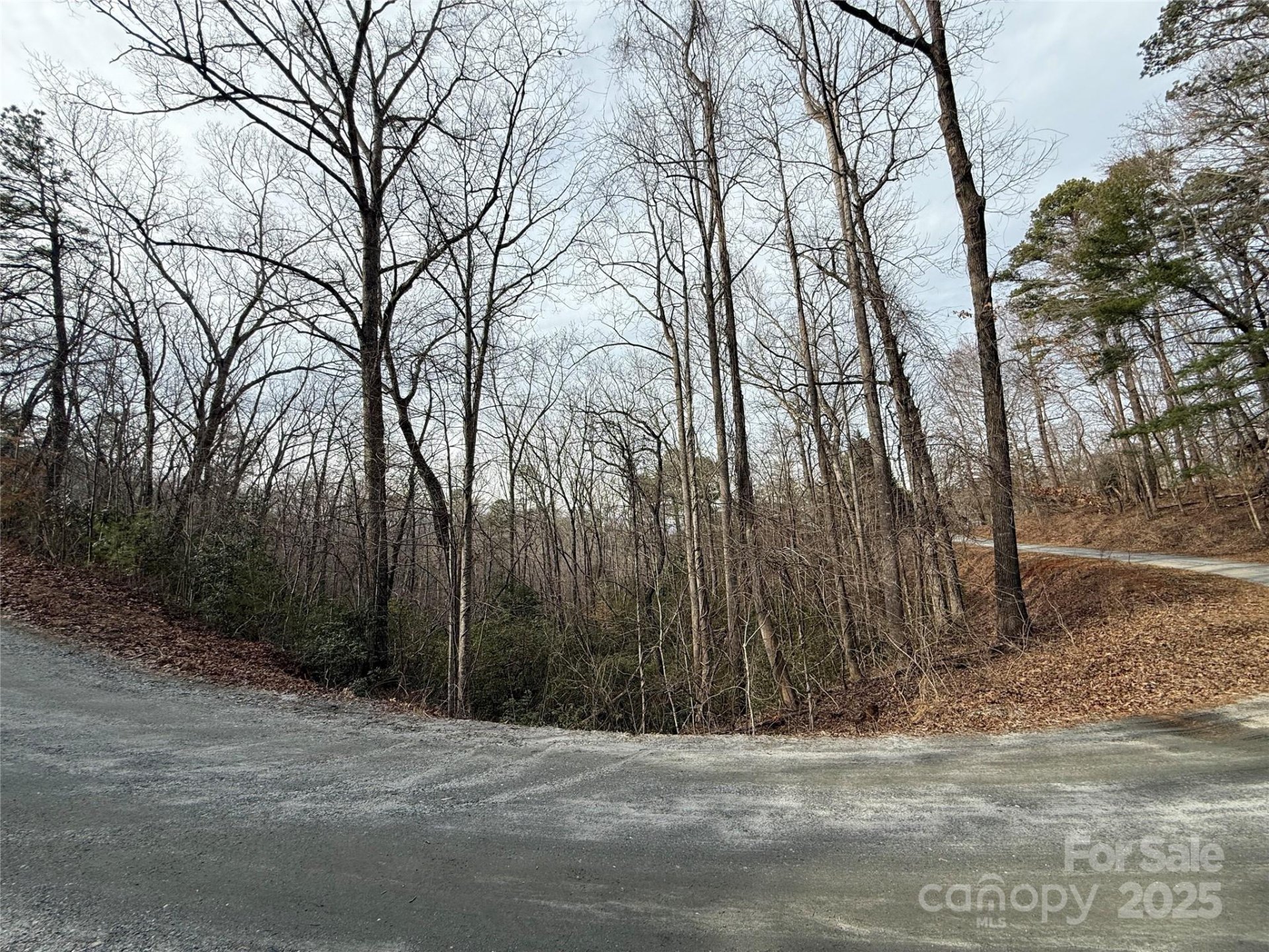 Property image 2 at 0 Wolf Trail, Lake Lure, NC 28746