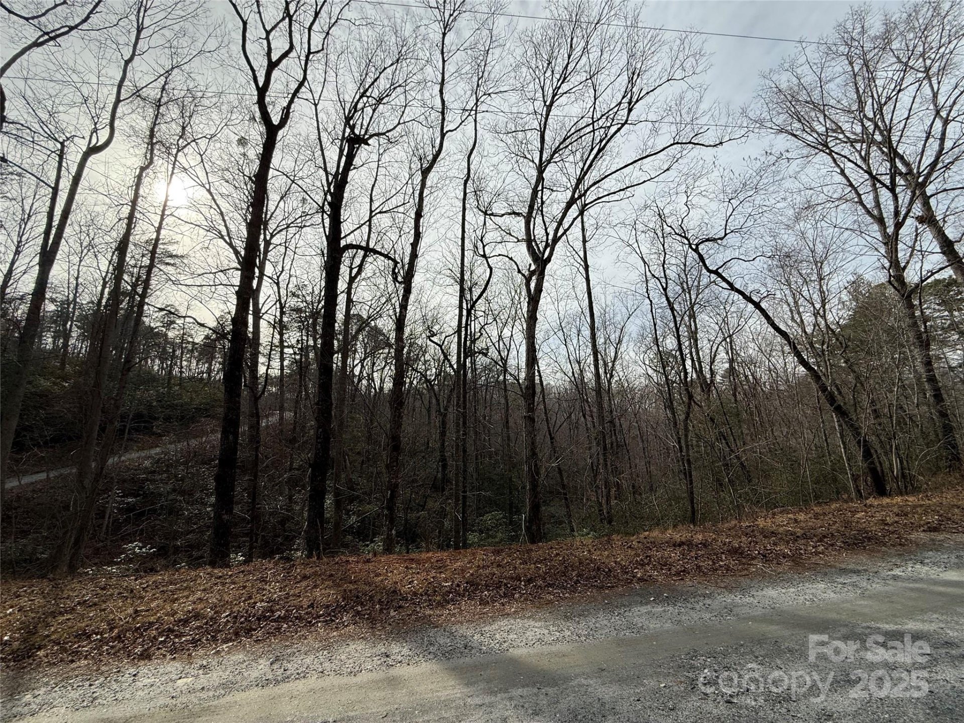 Property image 4 at 0 Wolf Trail, Lake Lure, NC 28746