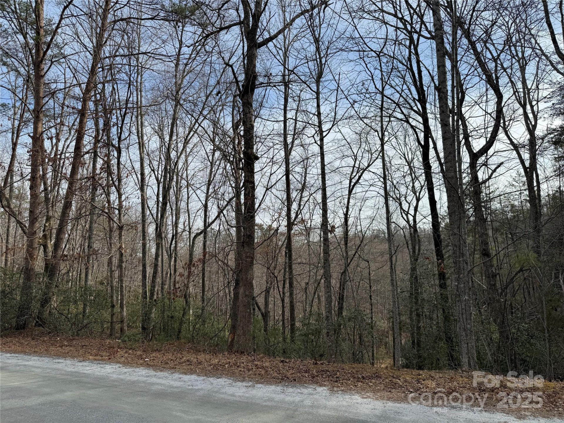 Property image 4 at 0 Sanderling Court, Lake Lure, NC 28746