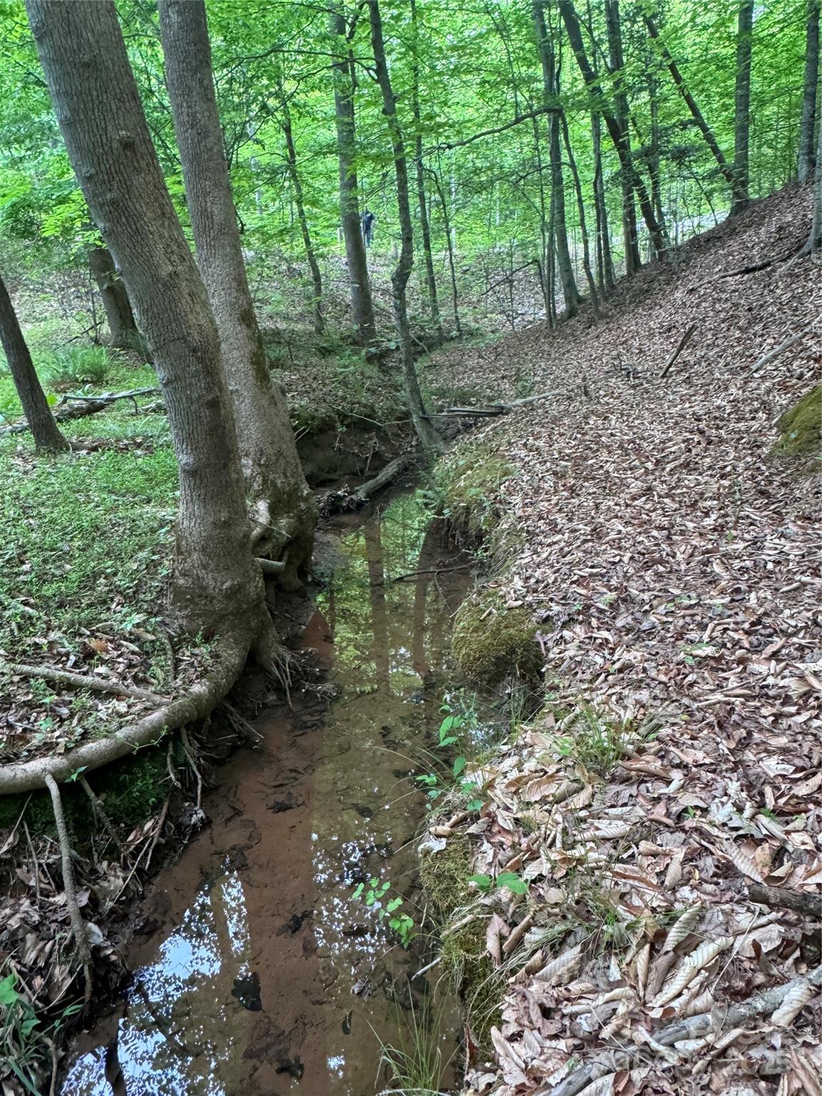 0 Desota Ridge