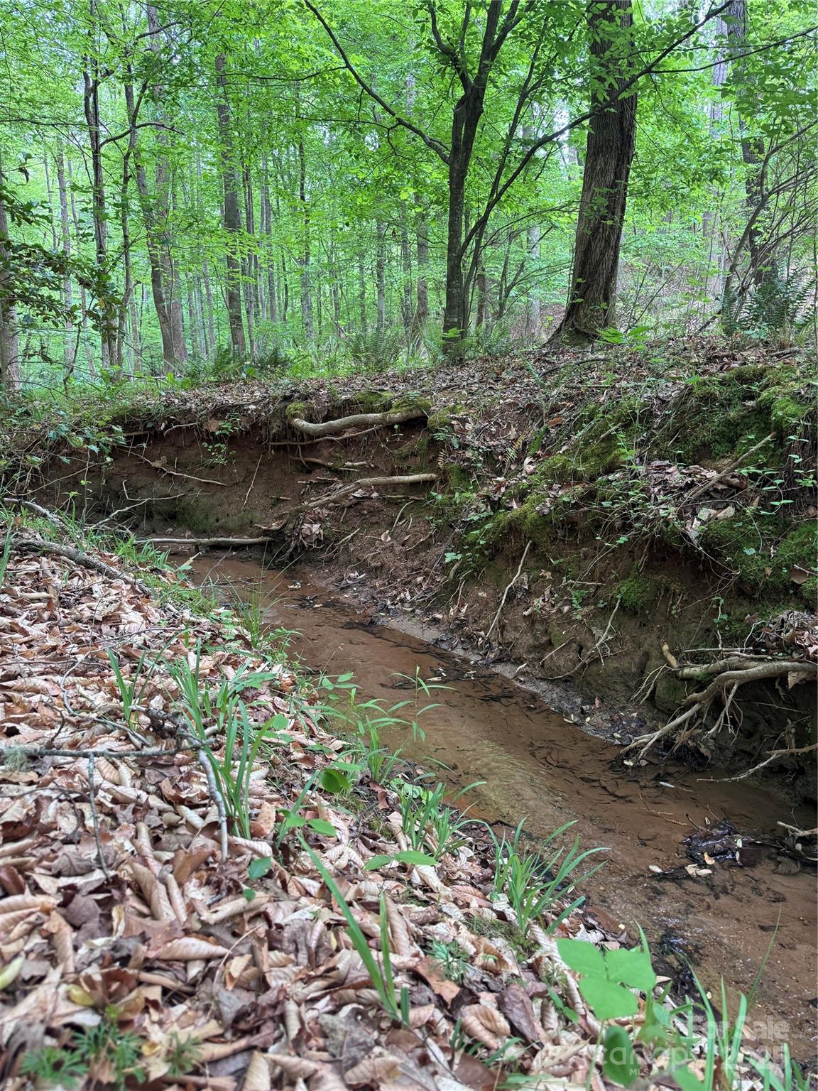 Property image 3 at 0 Desota Ridge, Rutherfordton, NC 28139