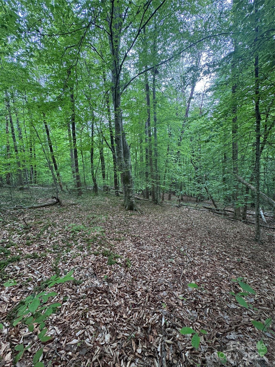Property image 4 at 0 Desota Ridge, Rutherfordton, NC 28139