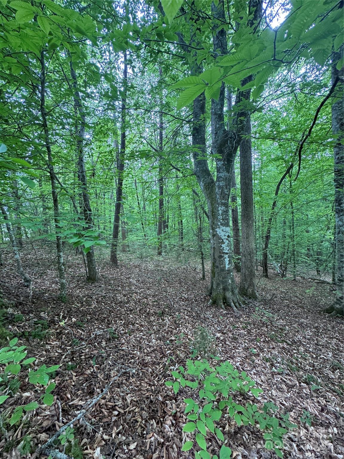 Property image 5 at 0 Desota Ridge, Rutherfordton, NC 28139