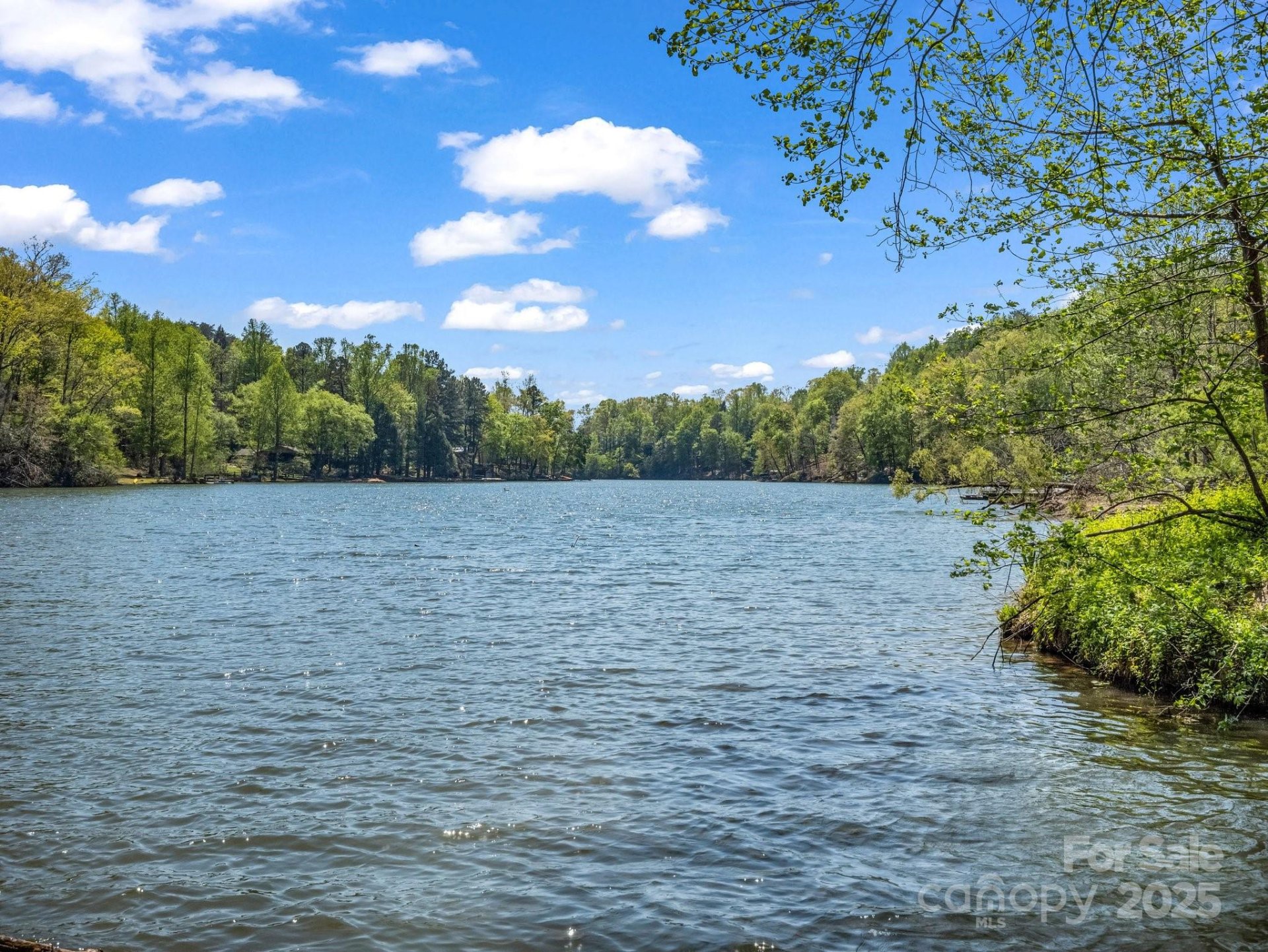 Property image 2 at 1973 Buffalo Creek Road, Lake Lure, NC 28746