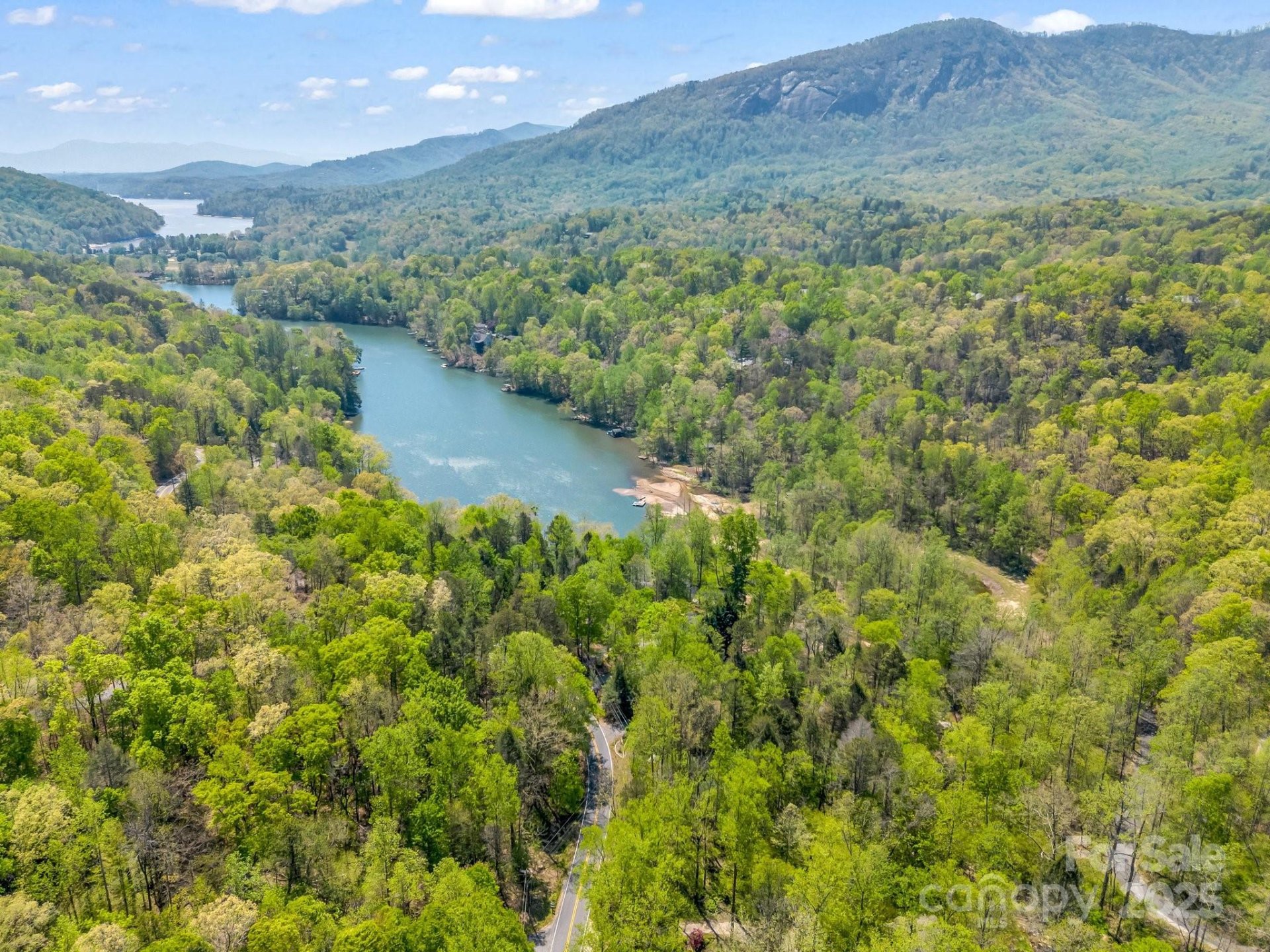 Property image 3 at 1973 Buffalo Creek Road, Lake Lure, NC 28746
