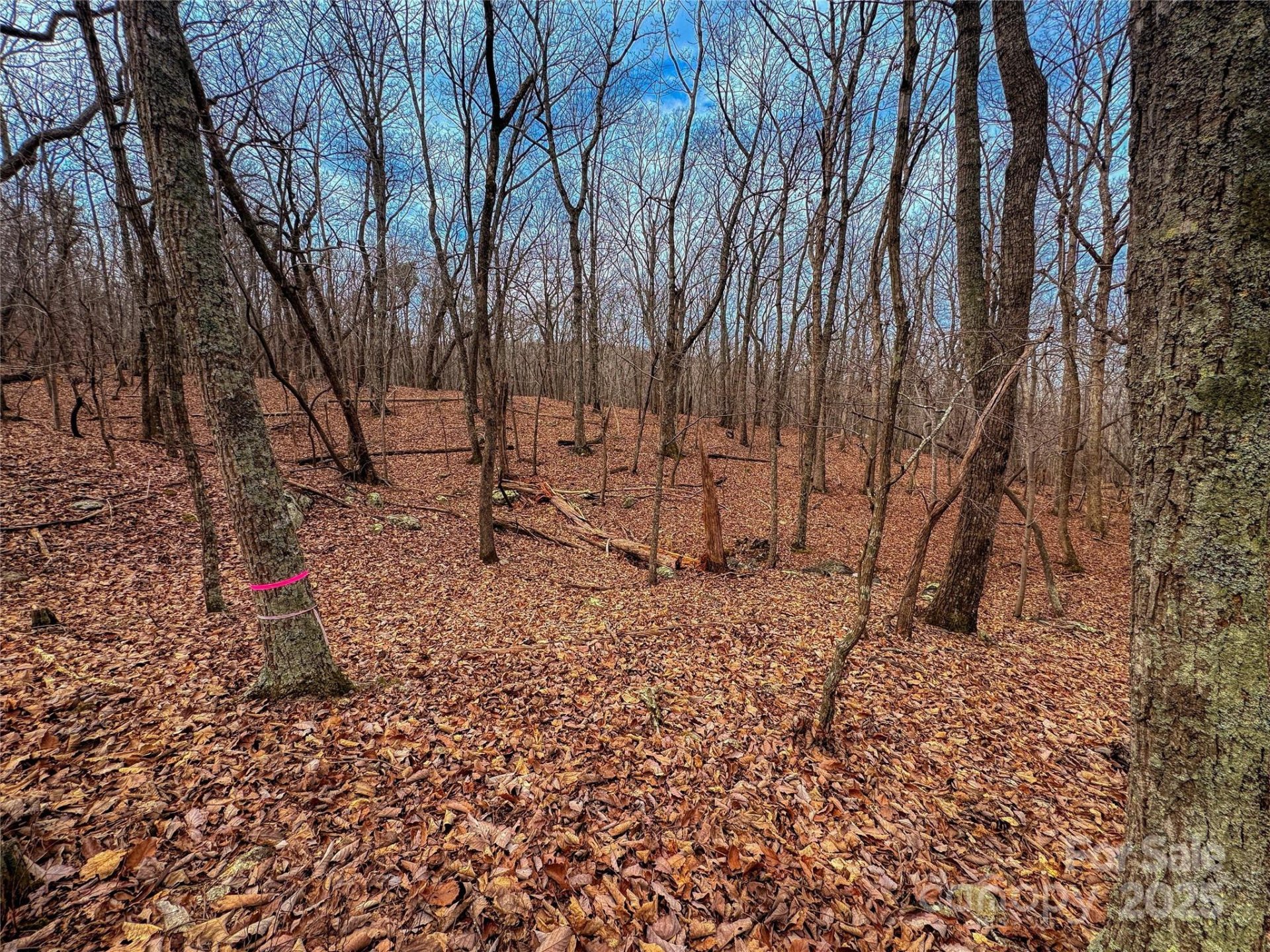 750 Palisade Trail
