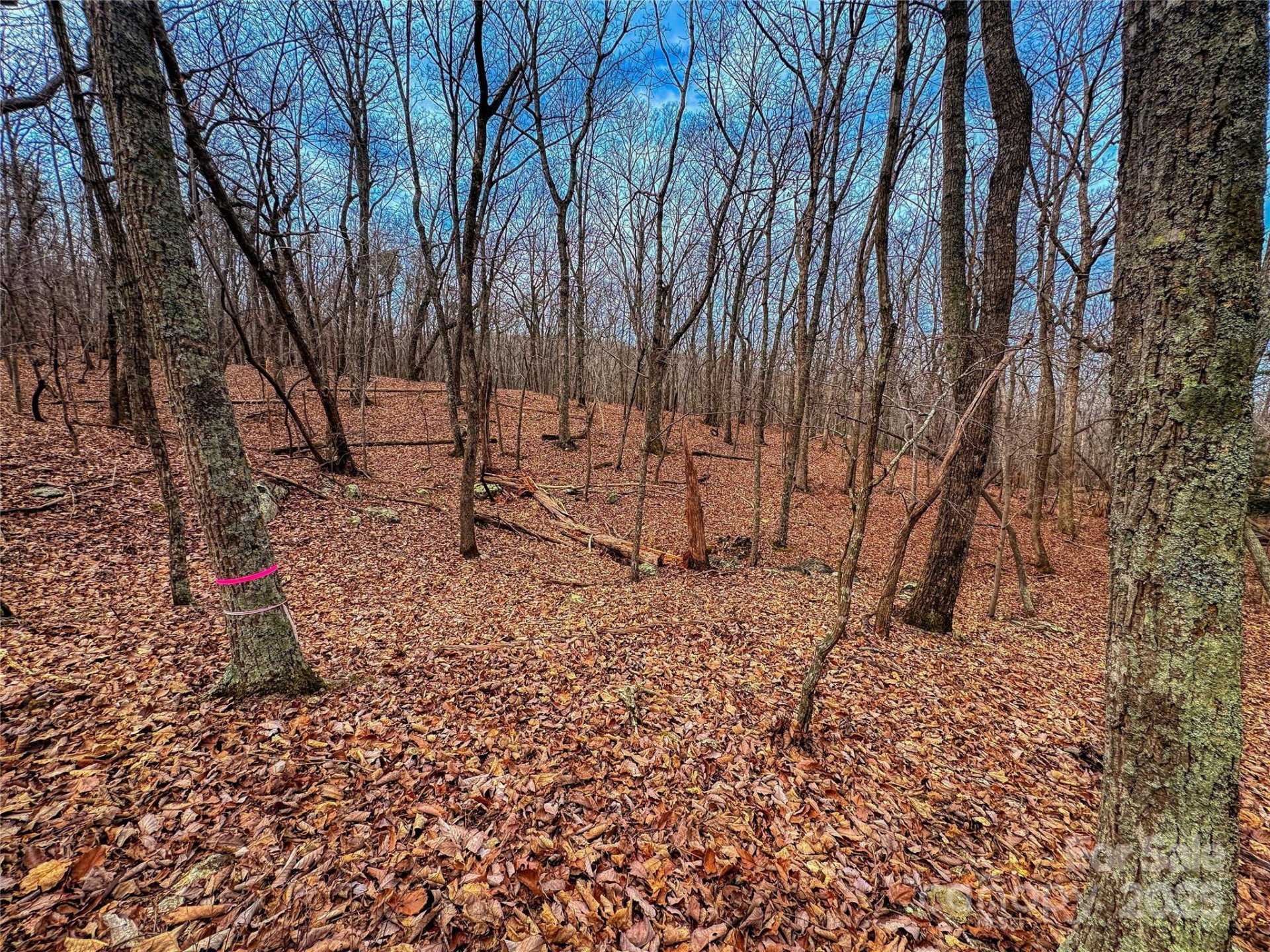 Property image 2 at 750 Palisade Trail, Denton, NC 27239