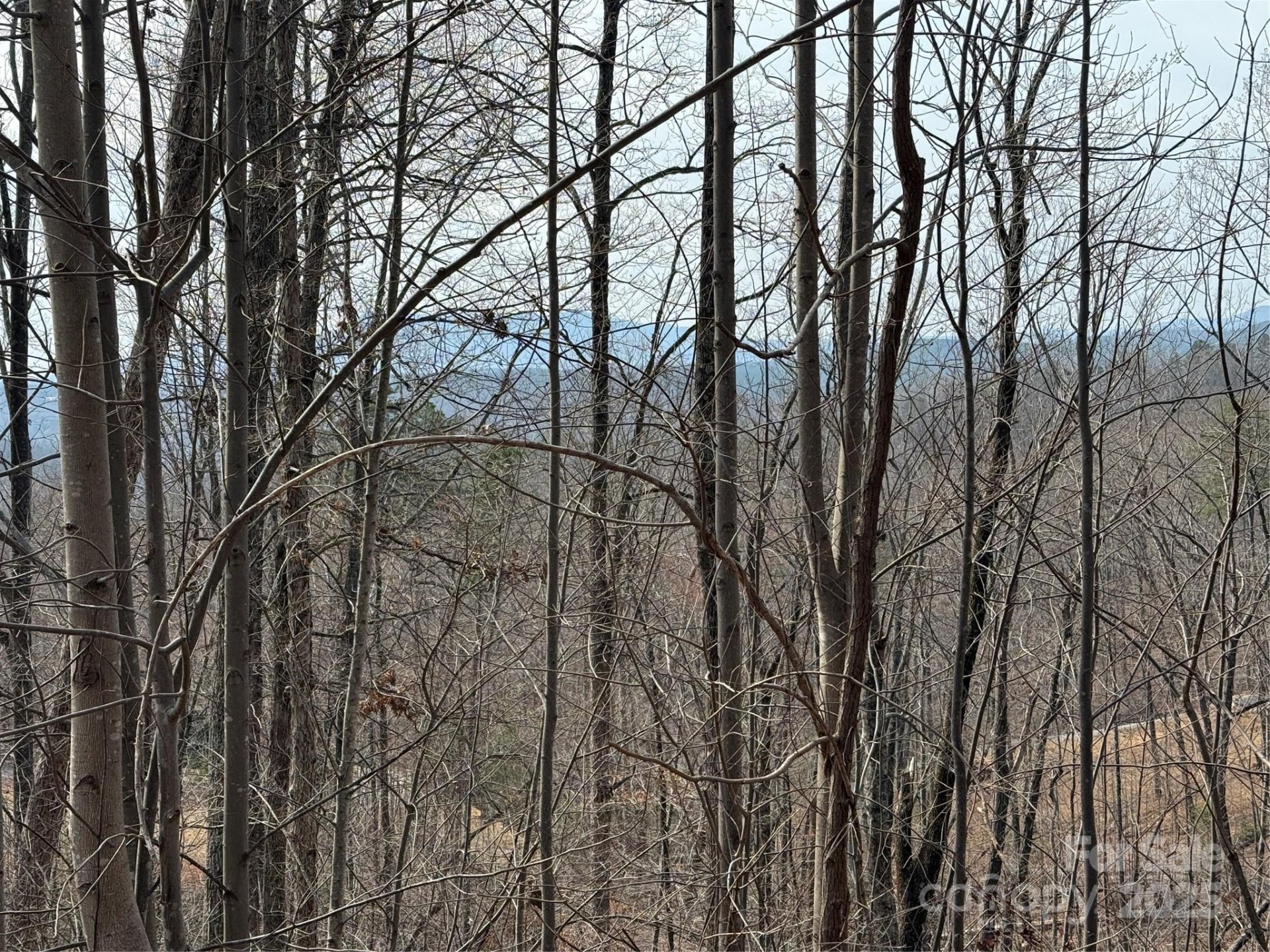 Property image 3 at Lot 236 Rock Ledge Drive, Lake Lure, NC 28746