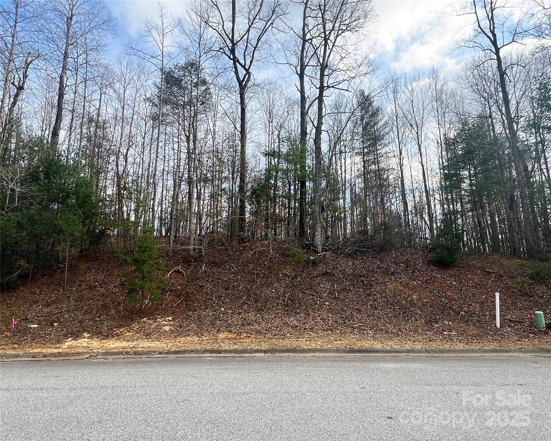 Lot 79 Huntington Woods Street